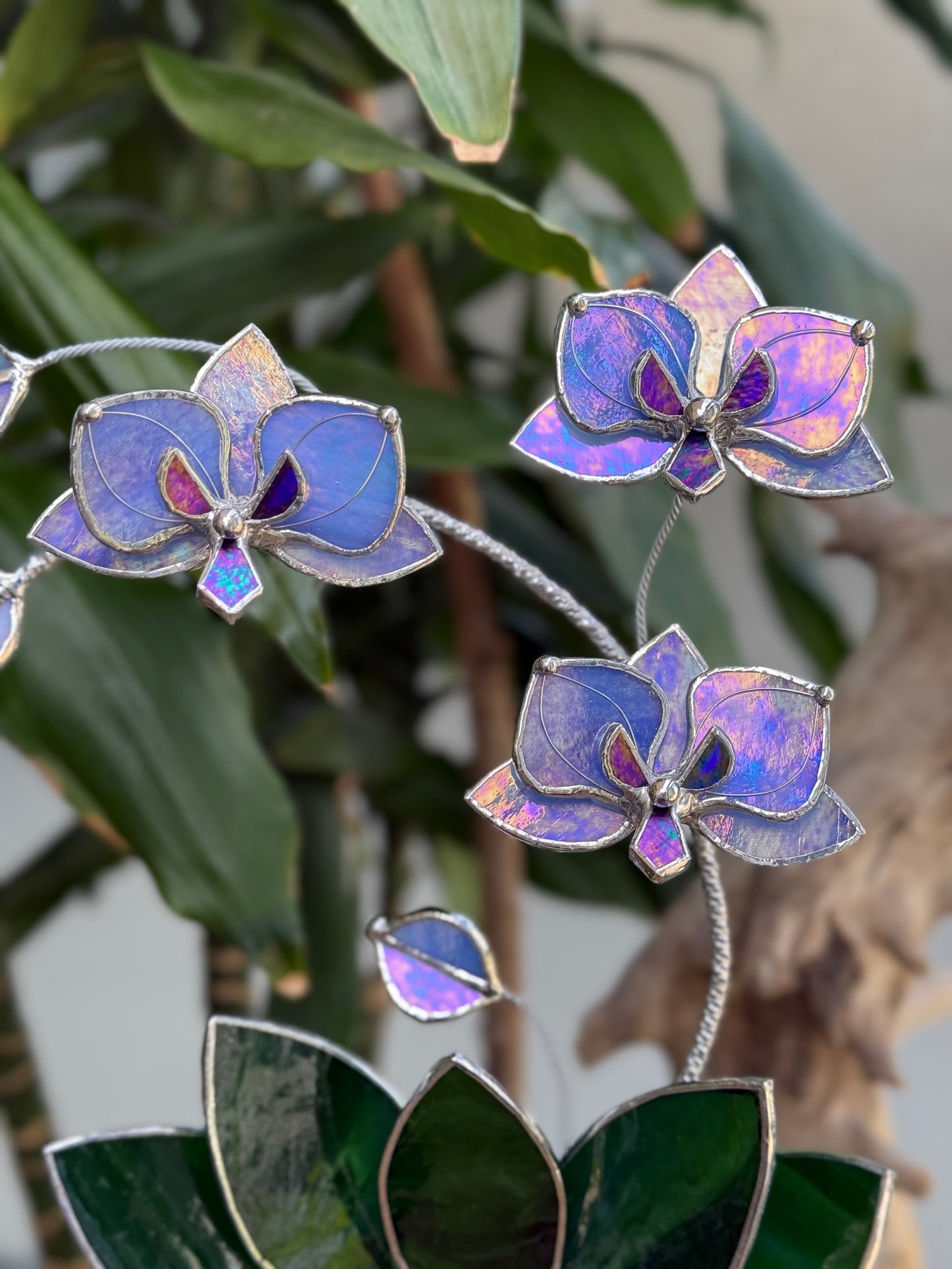 " . Blue lavender iridescent Orchid 3 flowers with pot” Stained glass tropical flower 3D, Sun catcher, Table plant, Garden stick, Outdoor and gardening decor available new