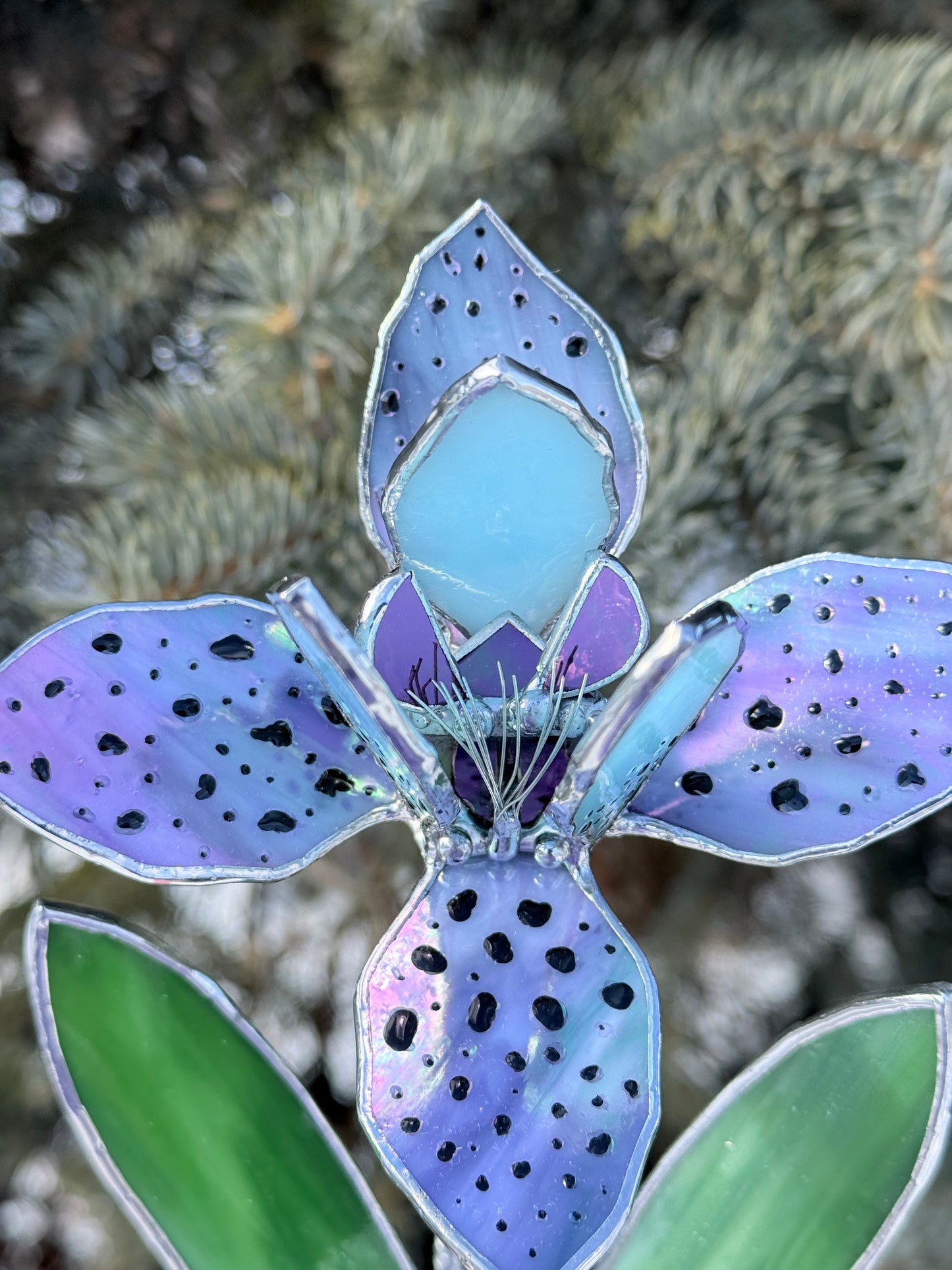 .Tropical Orchid in a pot, Botanical Stained Glass Modern Art Decor