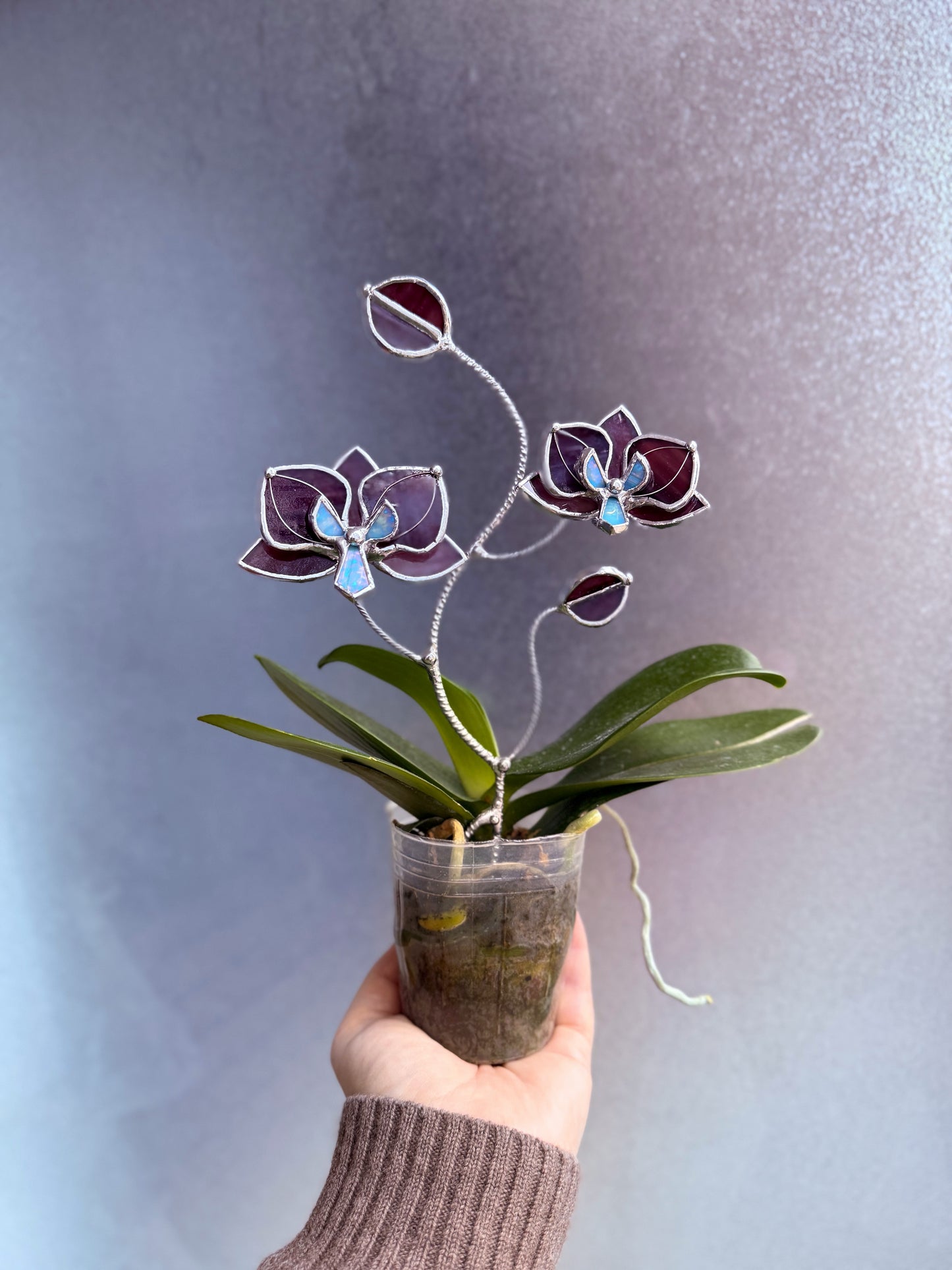 " . Elderberry purple Orchid flower stick, Plant stake 2 flowers no pot” Stained glass tropical flower 3D, Sun catcher, Table plant, Garden stick, Outdoor and gardening decor (Copy)