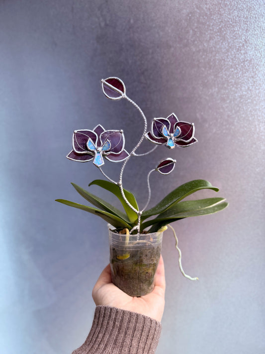 " . Elderberry purple Orchid flower stick, Plant stake 2 flowers no pot” Stained glass tropical flower 3D, Sun catcher, Table plant, Garden stick, Outdoor and gardening decor (Copy)