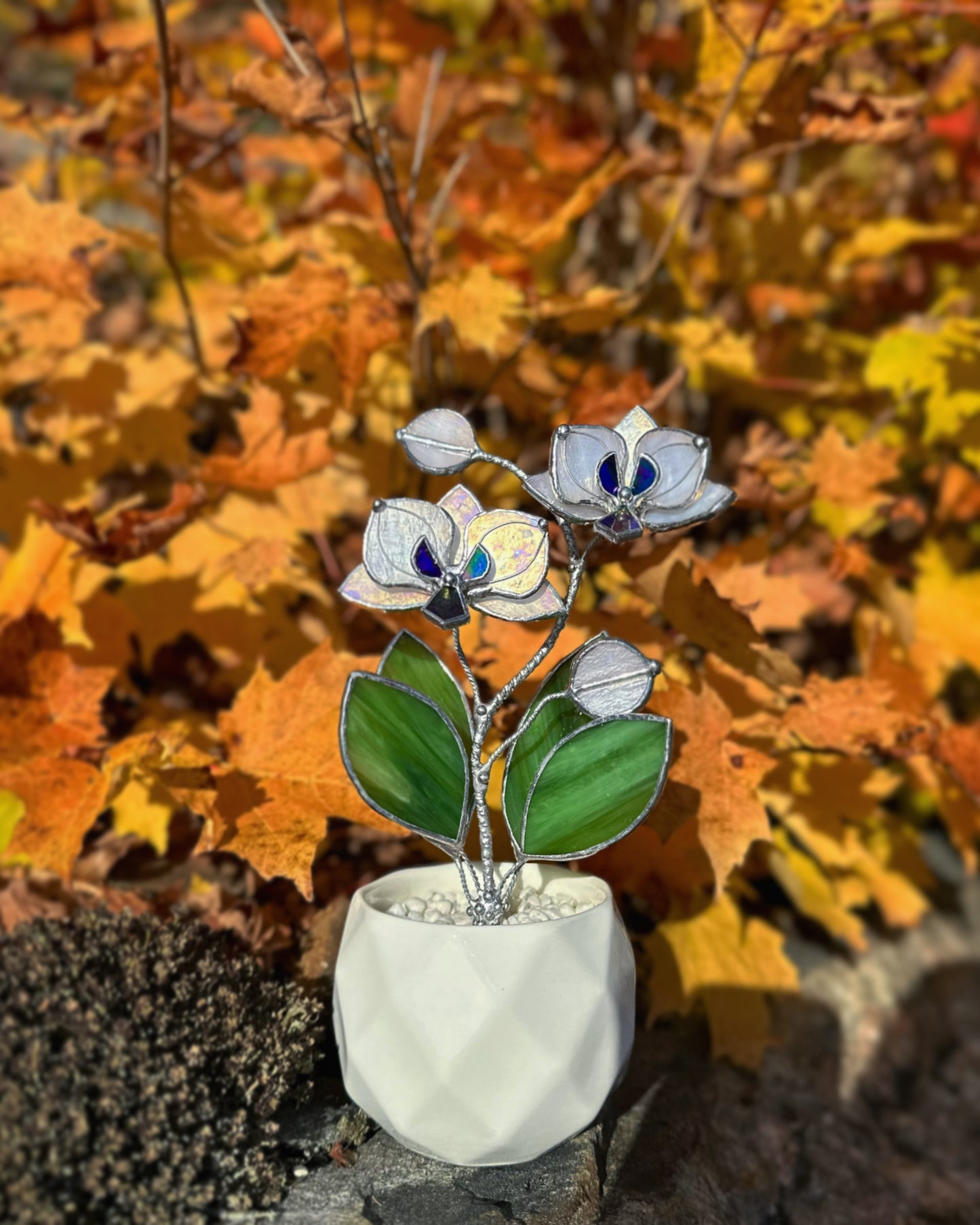 " . Orchid White Pearl iridescent, 2 flowers with pot” Stained glass tropical flower 3D, Sun catcher, Table plant decor, Garden stick, Outdoor and gardening decor