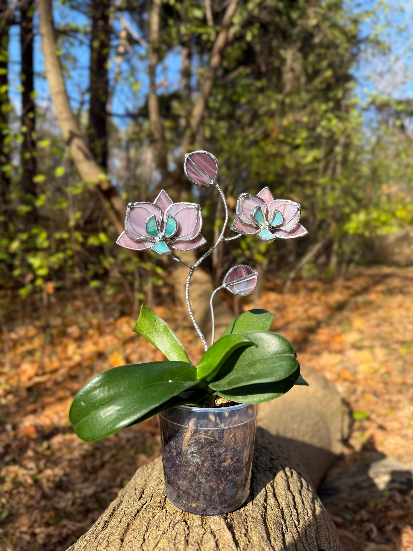 " . CHOOSE COLOR Orchid flower stick, Plant stake 2 flowers no pot” Stained glass tropical flower 3D, Sun catcher, Table plant, Garden stick, Outdoor and gardening decor