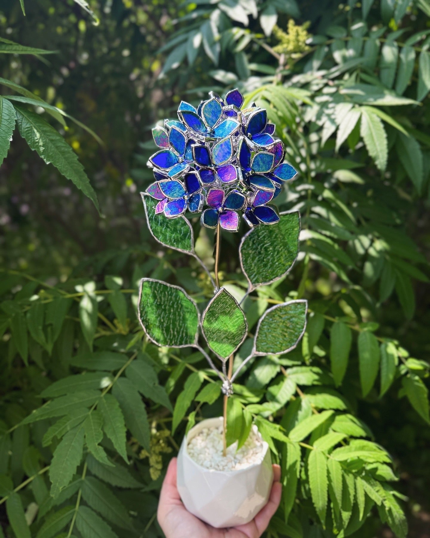 " . Beautiful Hydrangea Indigo iridescent bunch in the pot”, Stained glass tropical flower
