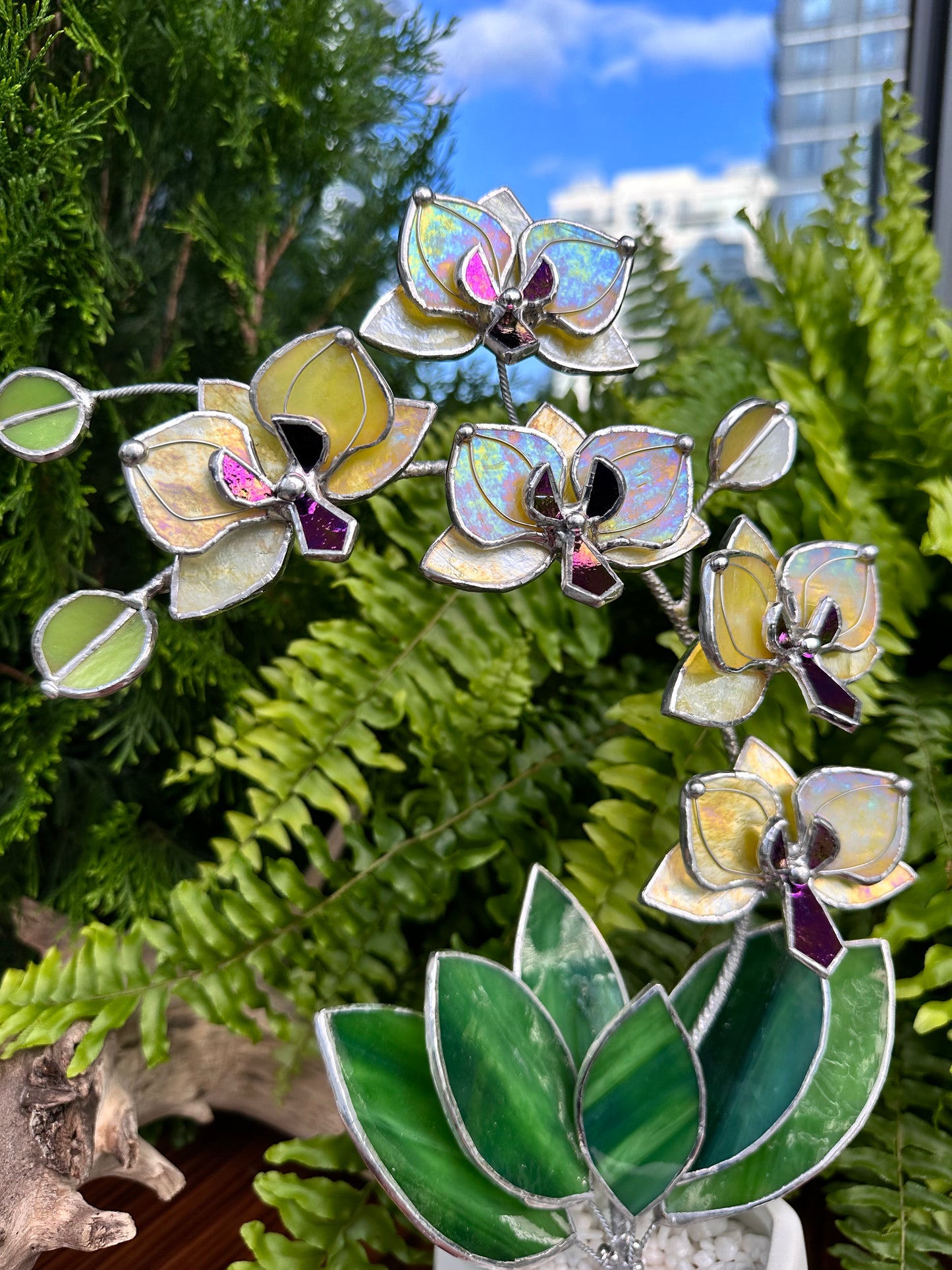 " . Lemon Yellow iridescent Orchid 5 flowers with pot" Stained glass tropical flower 3D, Sun catcher, Table plant, Garden stick, wedding decor, Christmas gift