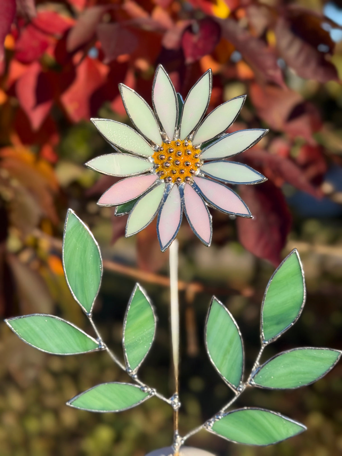Daisy flower White Pearl, Stained Glass Botanical Art, Modern Decor Wildflower