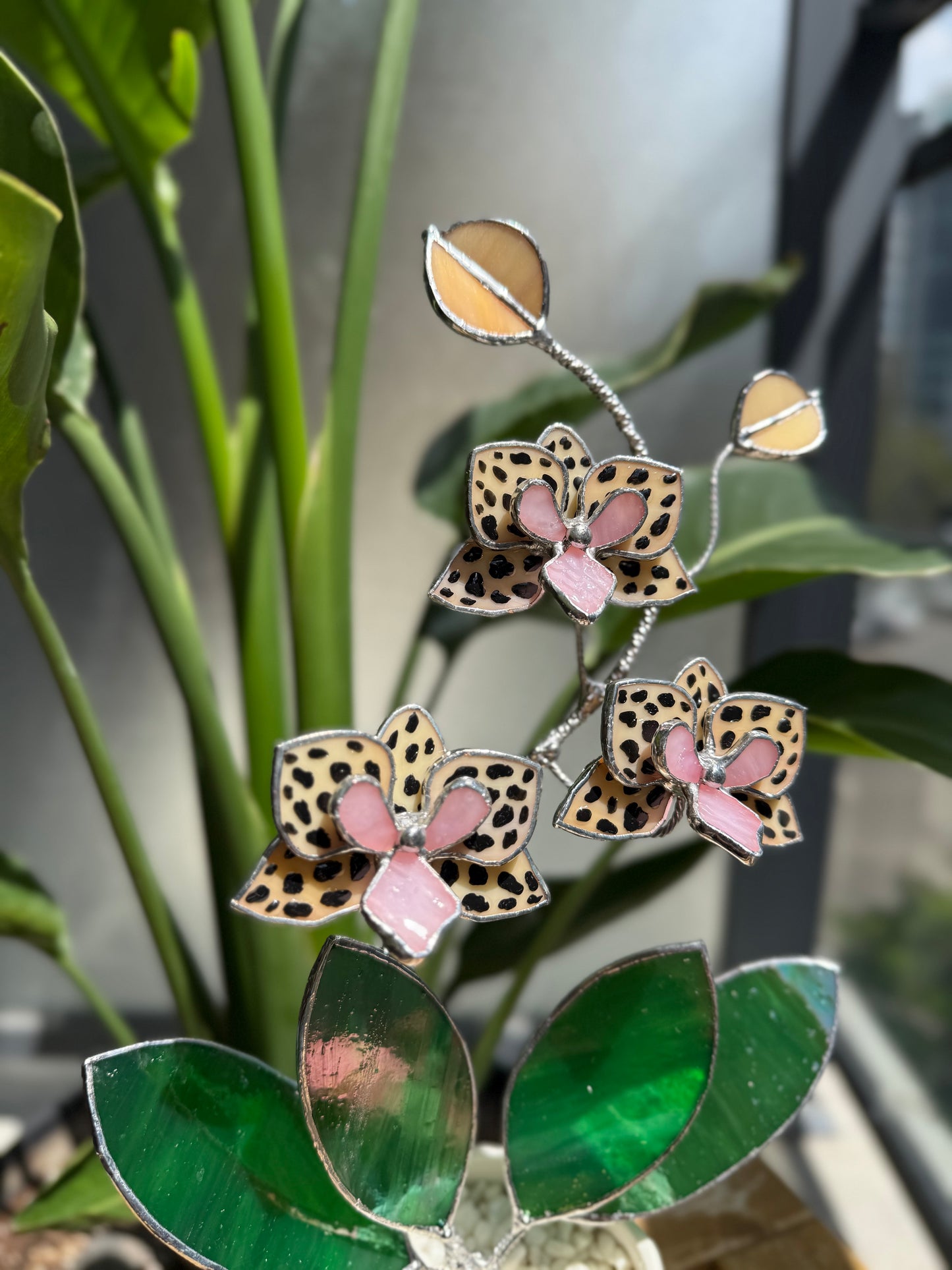 .Hand Painted Tiger Orchid in a pot, 3 flowers Botanical Stained Glass Modern Art Decor new
