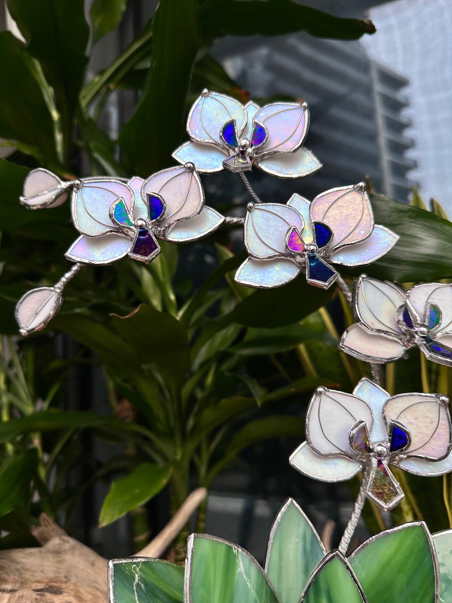 ". White Pearl iridescent Orchid 5 flowers with pot” Stained glass tropical flower 3D, Sun catcher, Table plant decor, Garden stick, Outdoor and gardening decor