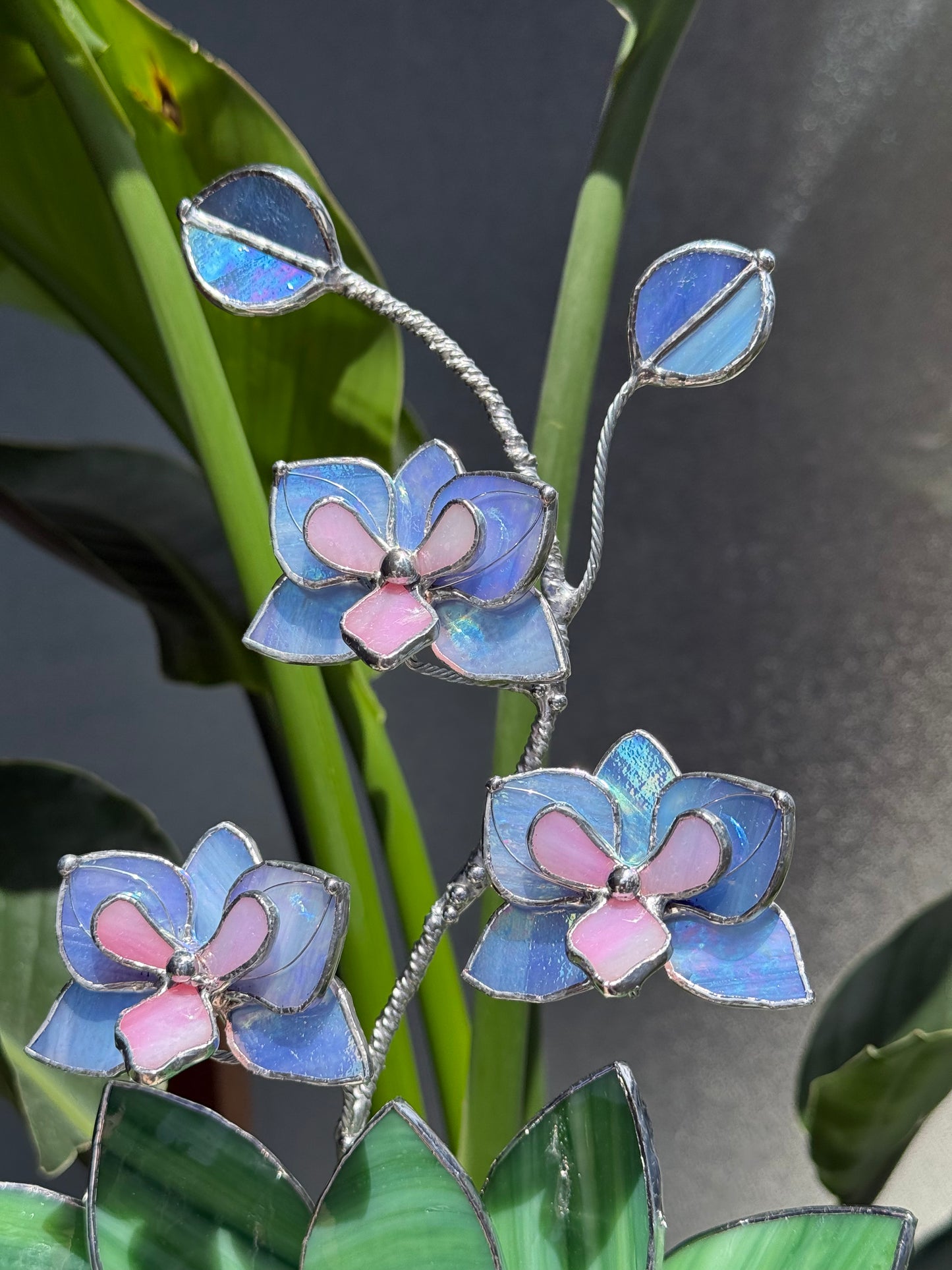 .Blue Lavender Orchid in a pot, 3 flowers Botanical Stained Glass Modern Art Decor new