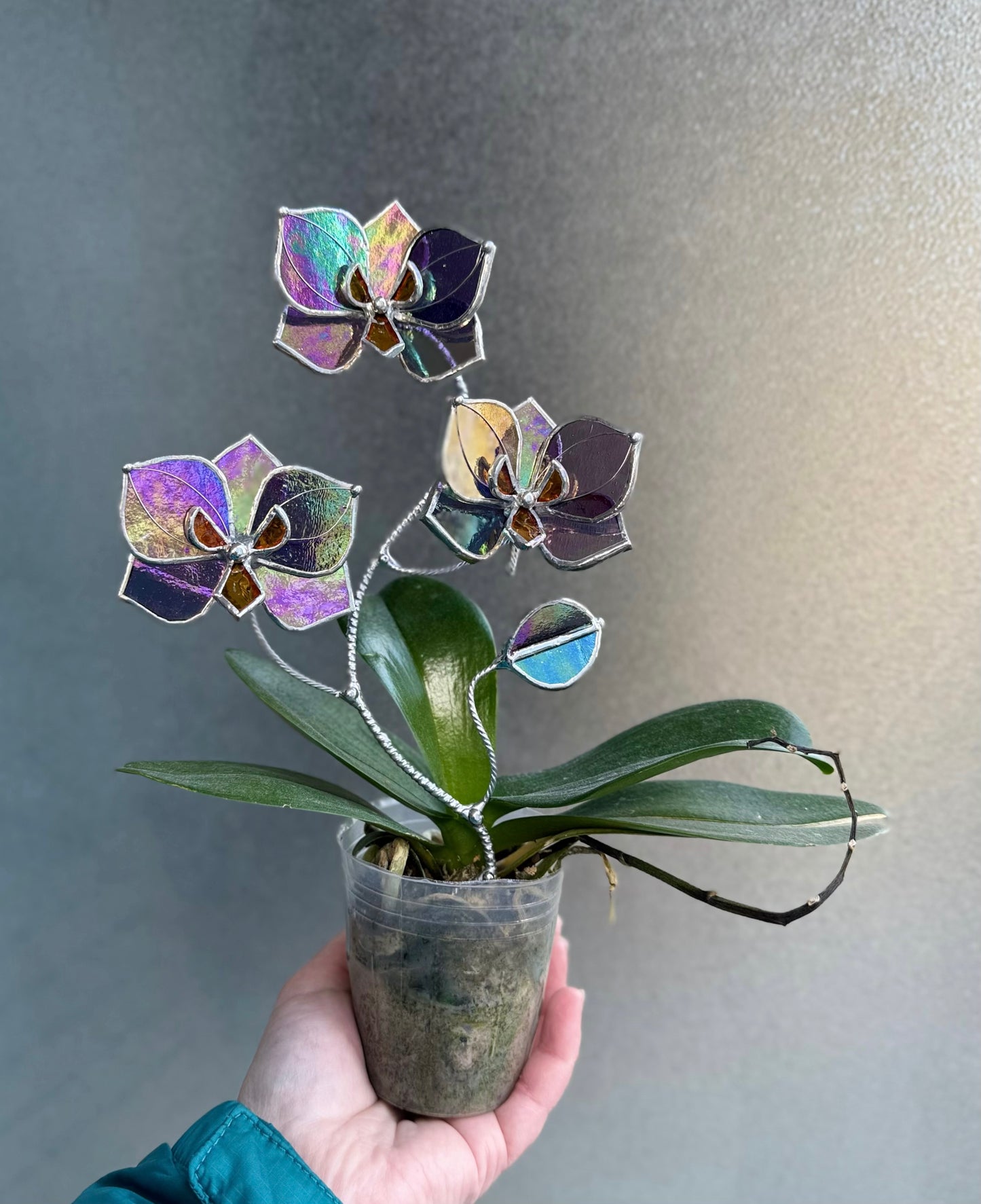 " . Butterfly orchid Purple transparent irid flower stick, Plant stake 3 flowers no pot” Stained glass flower, Table plant, Garden stick