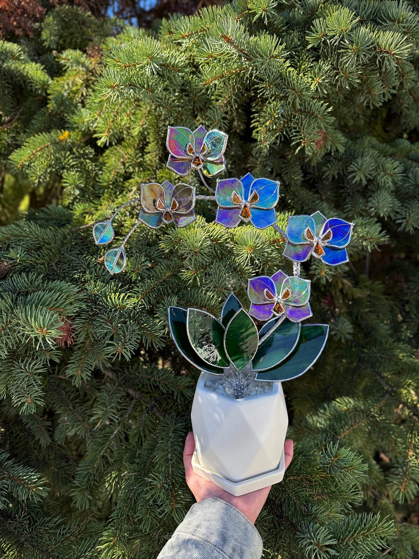 " .  Butterfly Orchid Purple transparent iridescent, 5 flowers with pot”, Stained glass tropical flower 3D, Suncatcher, Table plant