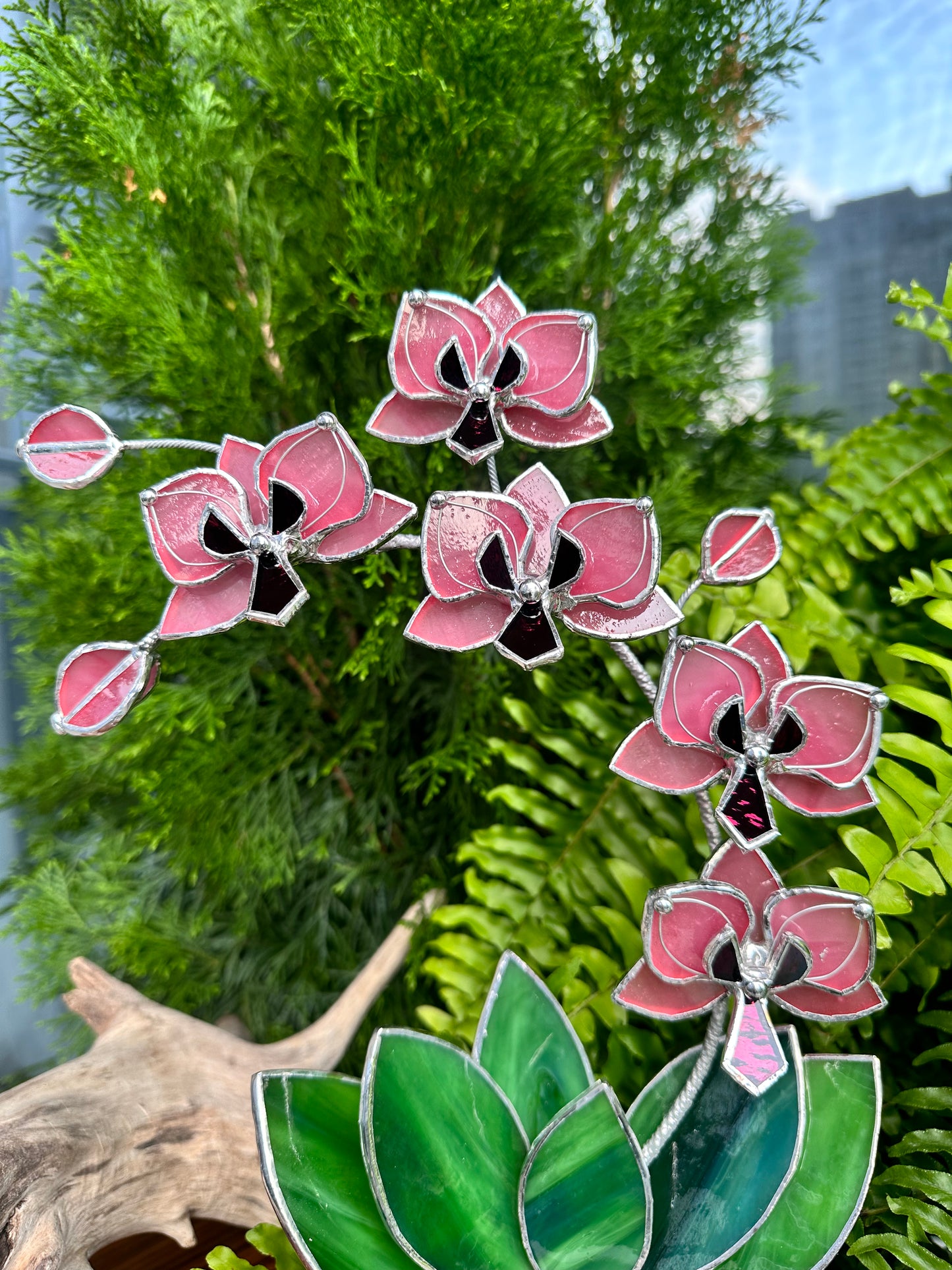 " .Baby Pink Orchid 5 flowers with pot" Stained glass tropical flower 3D, Sun catcher, Table plant, Garden stick, wedding decor, Christmas gift