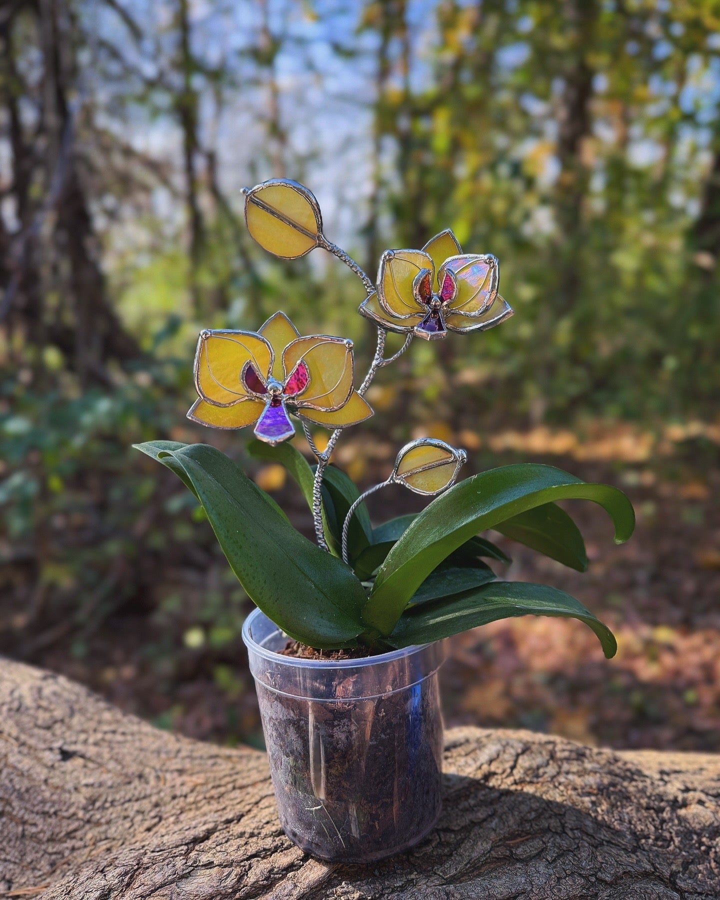 " . CHOOSE COLOR Orchid flower stick, Plant stake 2 flowers no pot” Stained glass tropical flower 3D, Sun catcher, Table plant, Garden stick, Outdoor and gardening decor