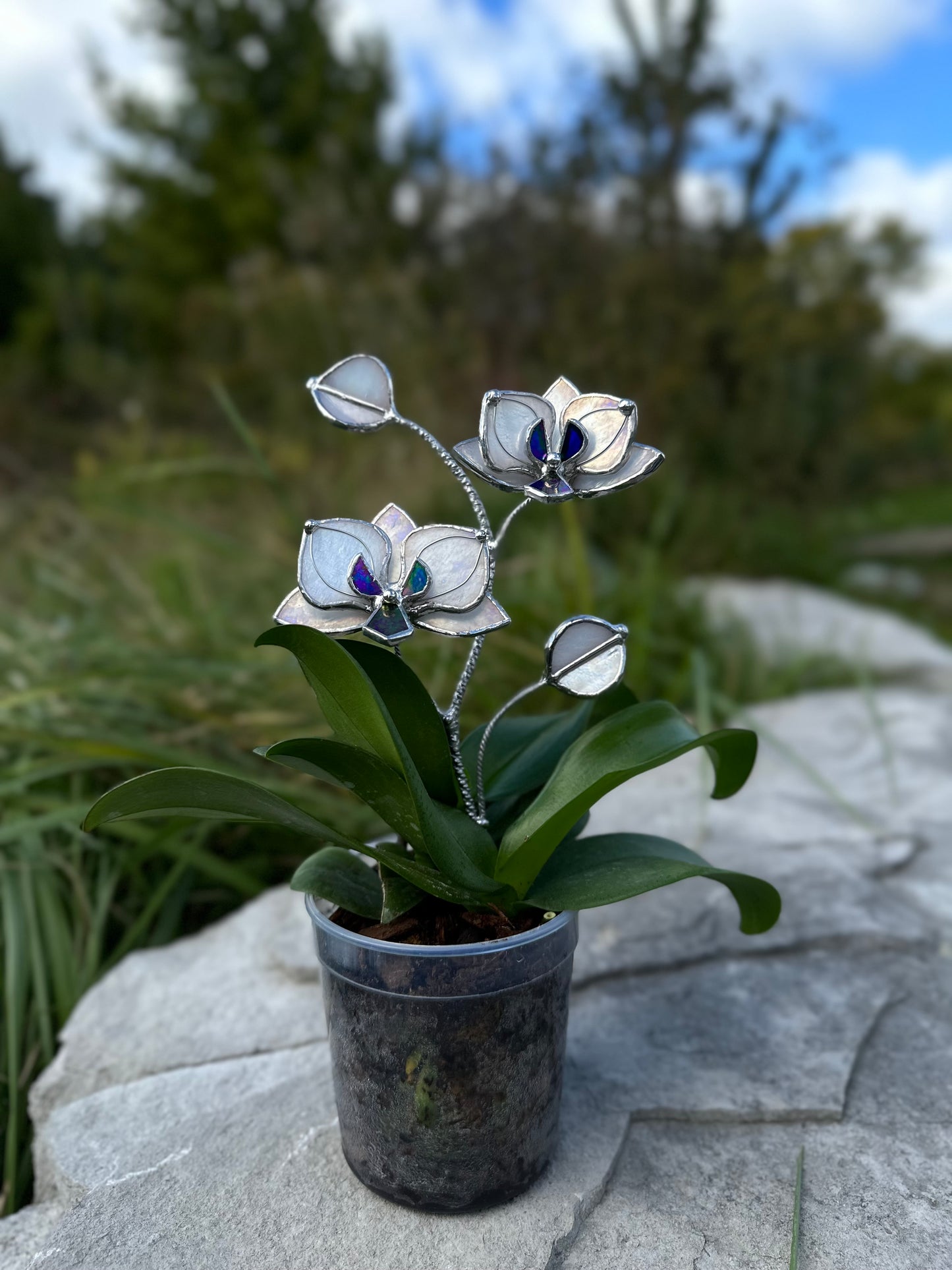 " . White pearl iridescent Orchid flower stick, Plant stake 2 flowers no pot” Stained glass tropical flower 3D, Sun catcher, Table plant, Garden stick, Outdoor and gardening decor