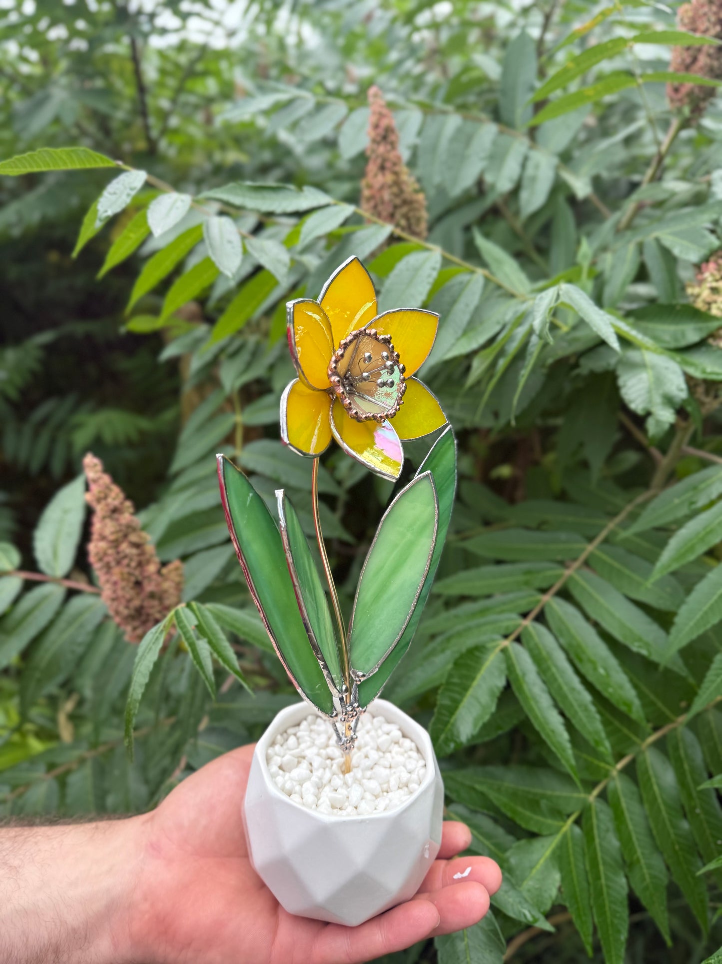 .Lemon Yellow Lumi Daffodil Flower Stained glass tropical flower new