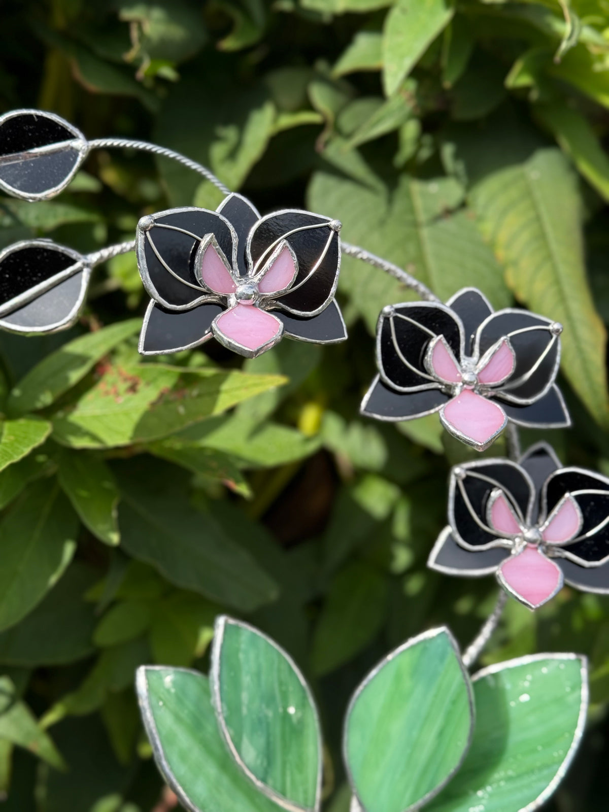 Black Pink Orchid 3 flowers with pot, Stained glass tropical flower, Sun catcher