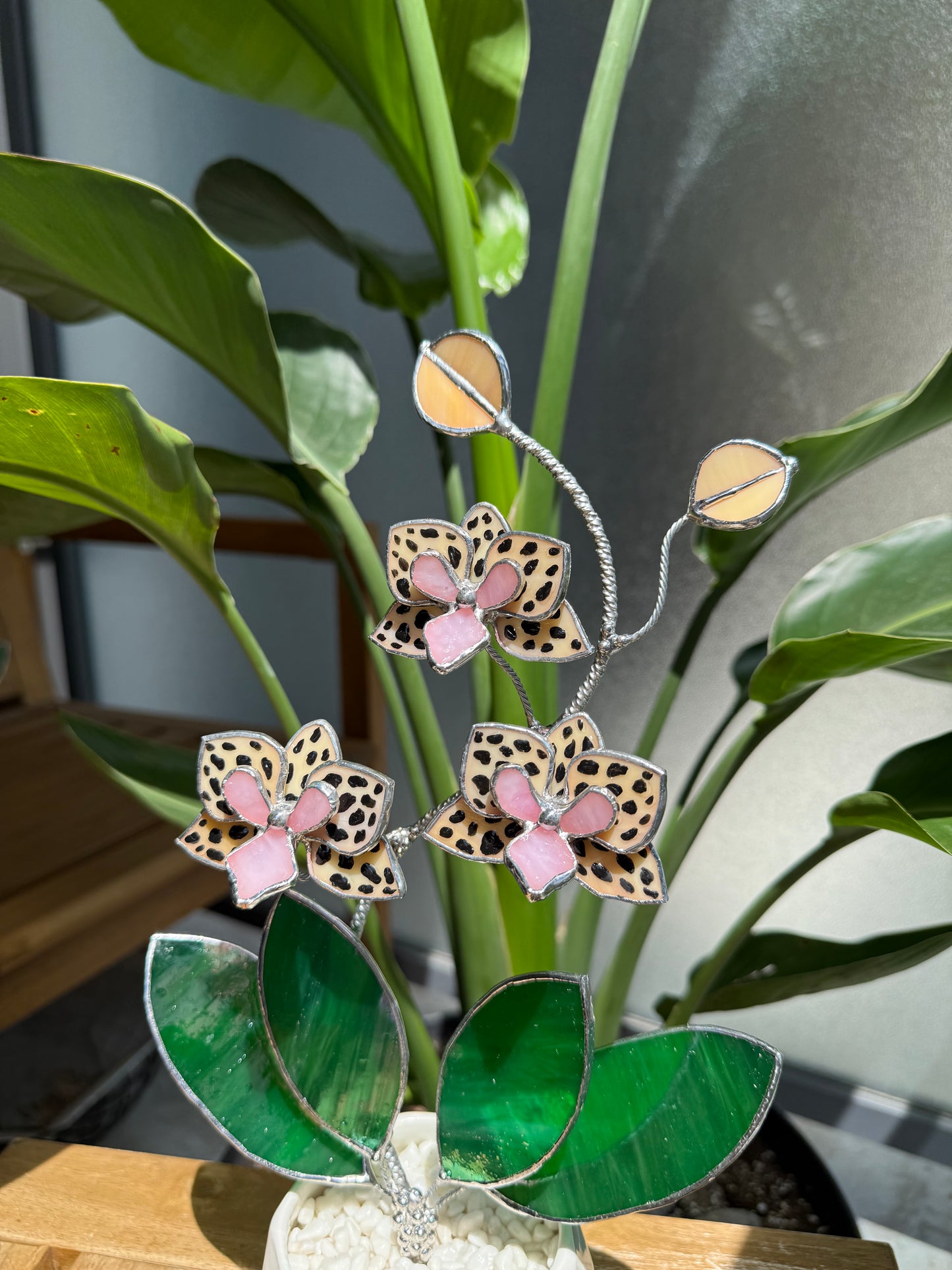 .Hand Painted Tiger Orchid in a pot, 3 flowers Botanical Stained Glass Modern Art Decor new