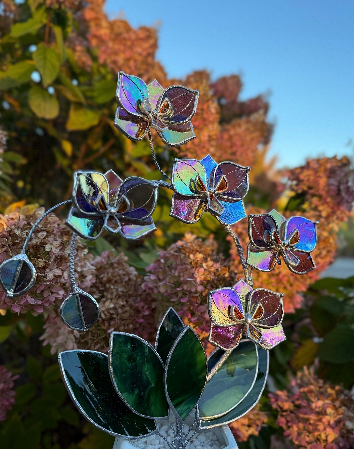 " . Butterfly Orchid Purple transparent iridescent, 5 flowers with pot”, Stained glass tropical flower 3D, Suncatcher, Table plant sale