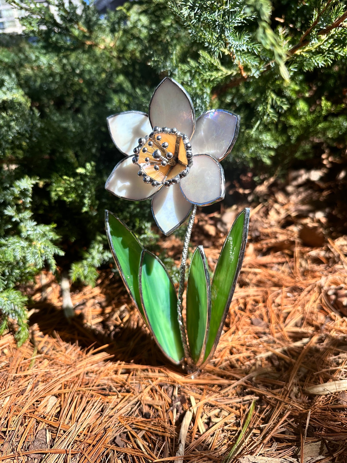 ".Daffodil Flower White Pearl with pot" Stained glass tropical flower 3D, Sun catcher, Table plant decor, Garden stick, wedding decor, Christmas gift