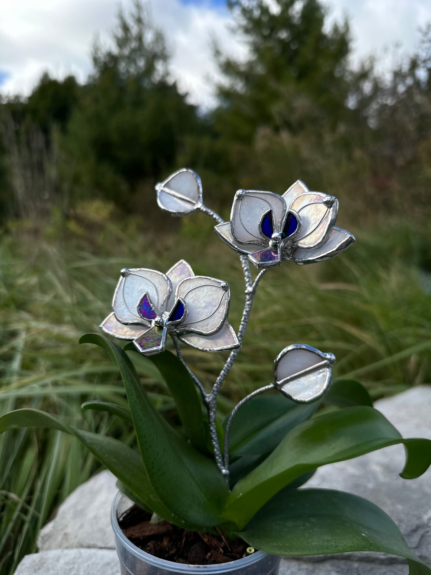 " . White pearl iridescent Orchid flower stick, Plant stake 2 flowers no pot” Stained glass tropical flower 3D, Sun catcher, Table plant, Garden stick, Outdoor and gardening decor