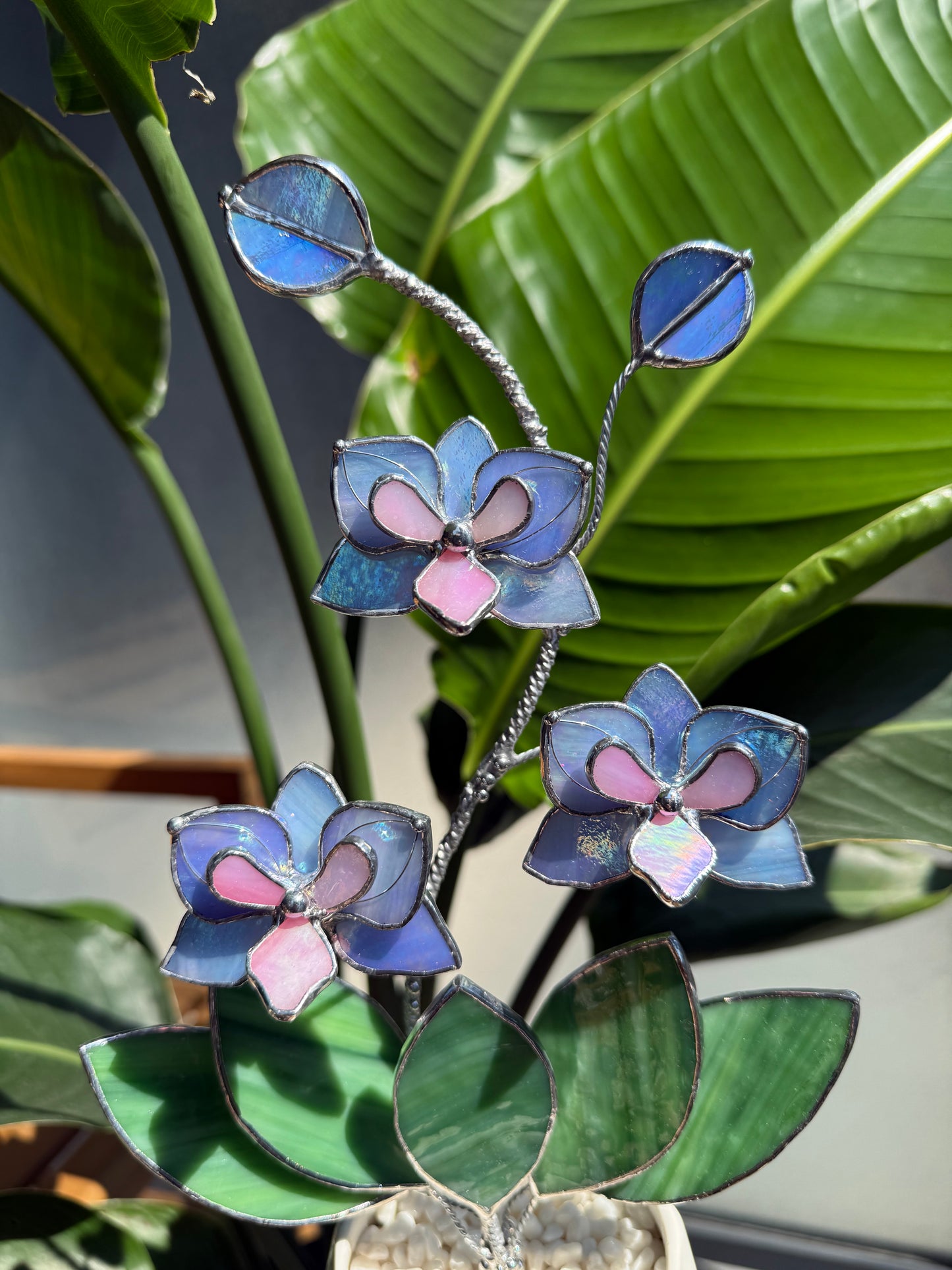 .Blue Lavender Orchid in a pot, 3 flowers Botanical Stained Glass Modern Art Decor new