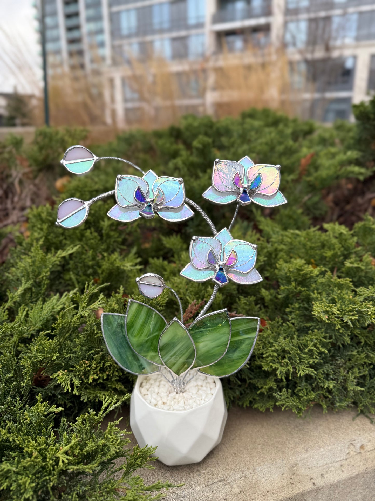 " . Orchid White luminescent, 3 flowers with pot” Stained glass tropical flower 3D, Suncatcher, Table plant decor