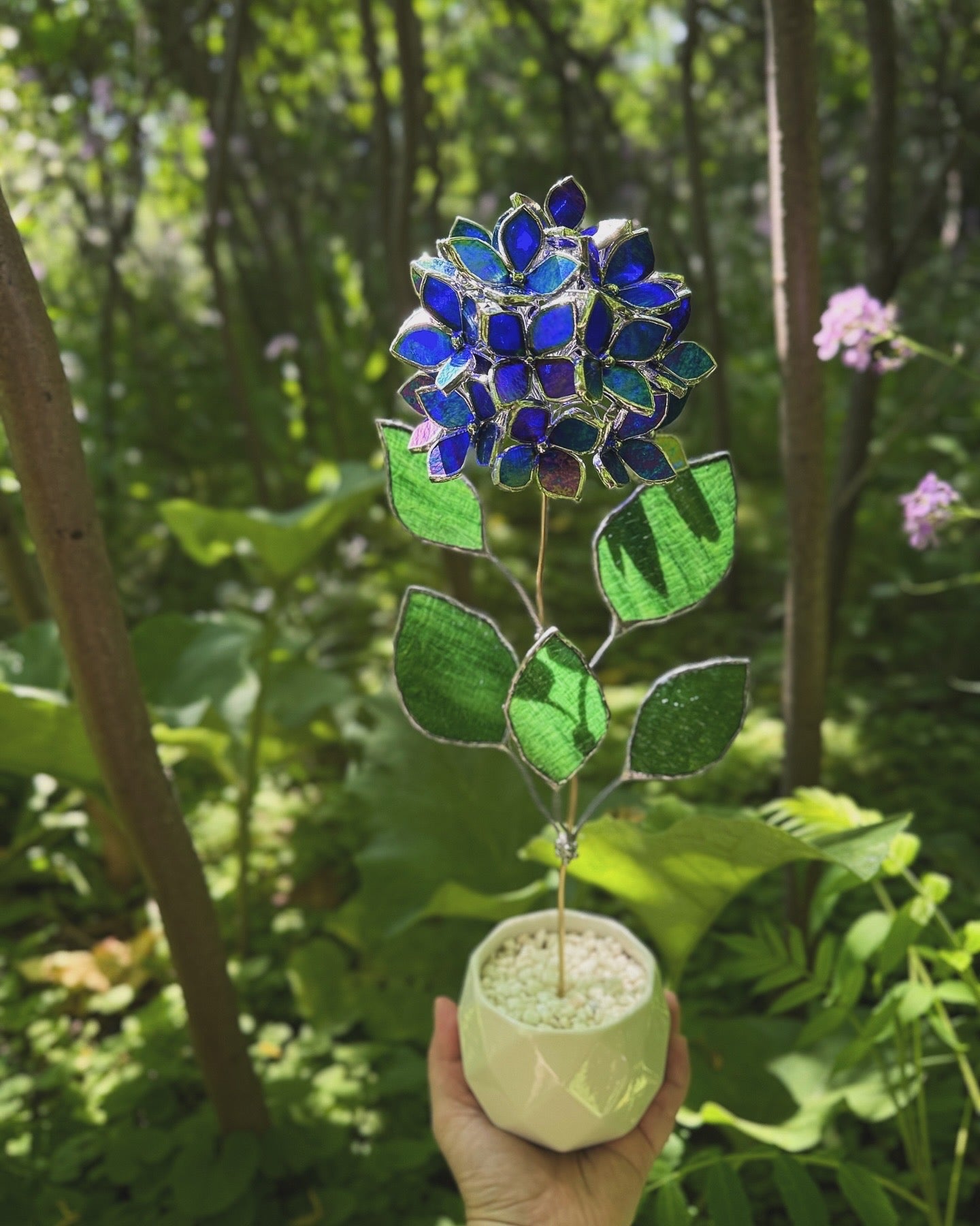 " . Beautiful Hydrangea Indigo iridescent bunch in the pot”, Stained glass tropical flower