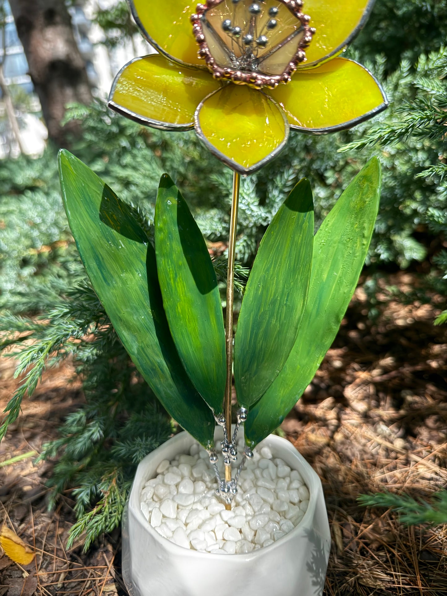 Lemon Yellow Lumi Daffodil Flower Stained glass tropical flower new