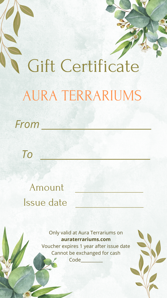 " . AURA TERRARIUMS GIFT CERTIFICATE for 100-1000 CAD for purchasing items on the website