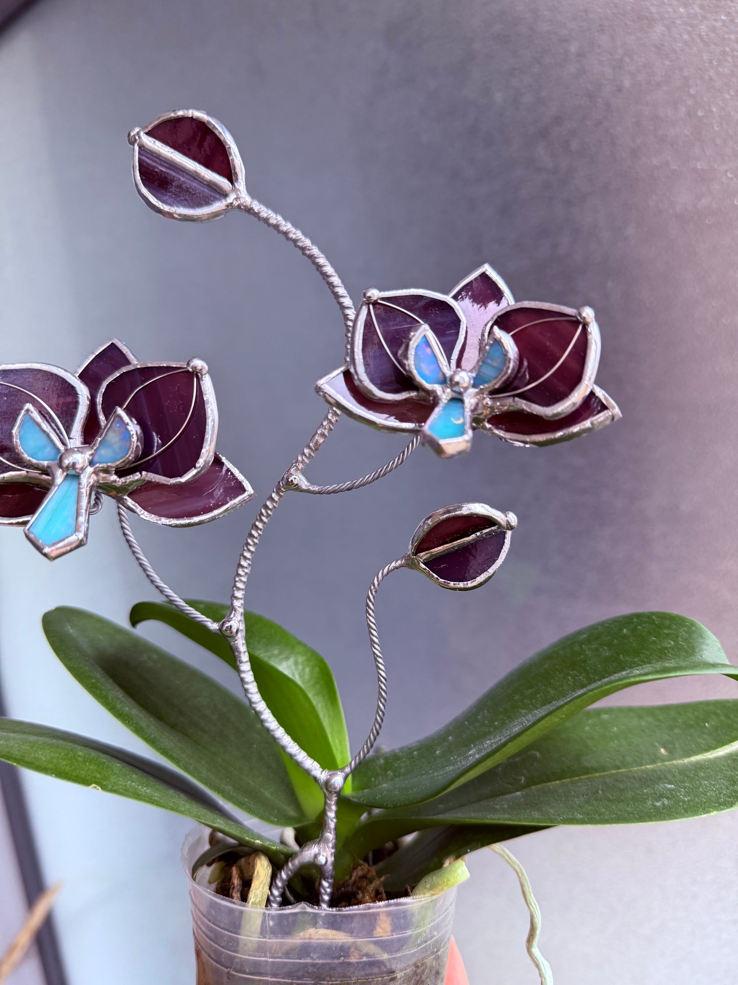 " . Elderberry purple Orchid flower stick, Plant stake 2 flowers no pot” Stained glass tropical flower 3D, Sun catcher, Table plant, Garden stick, Outdoor and gardening decor (Copy)