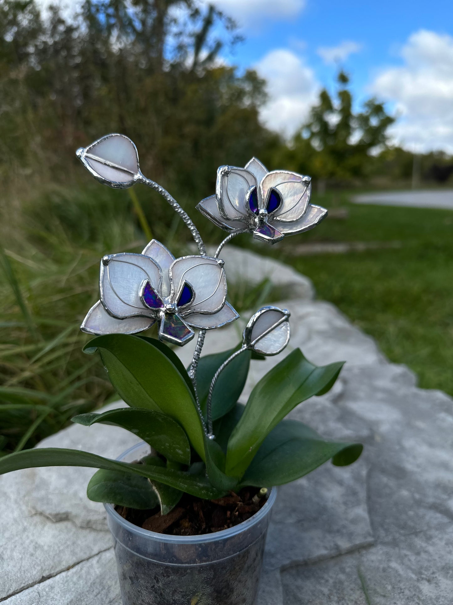 " . White pearl iridescent Orchid flower stick, Plant stake 2 flowers no pot” Stained glass tropical flower 3D, Sun catcher, Table plant, Garden stick, Outdoor and gardening decor