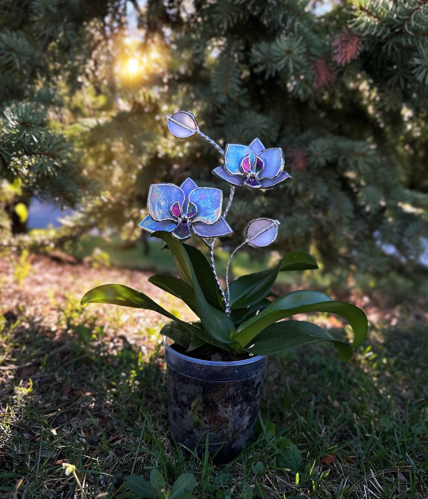 " . Lavender iridescent Orchid flower stick, Plant stake 2 flowers no pot” Stained glass tropical flower 3D, Sun catcher, Table plant, Garden stick, Outdoor and gardening decor