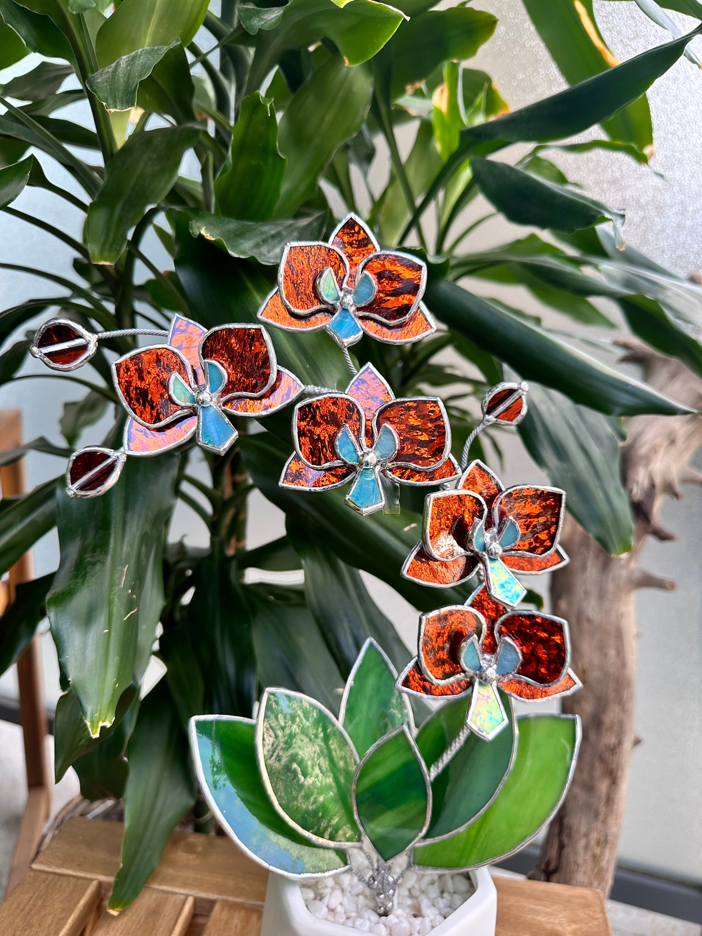 ". Amber silvercoat Orchid 5 flowers with pot" Stained glass tropical flower 3D, Sun catcher, Table plant, Garden stick, wedding decor, Christmas gift