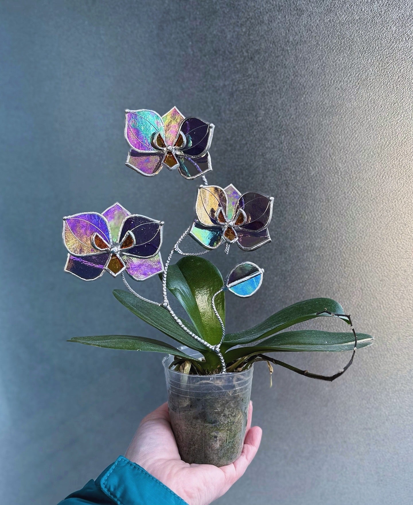 " . Butterfly orchid Purple transparent irid flower stick, Plant stake 3 flowers no pot” Stained glass flower, Table plant, Garden stick