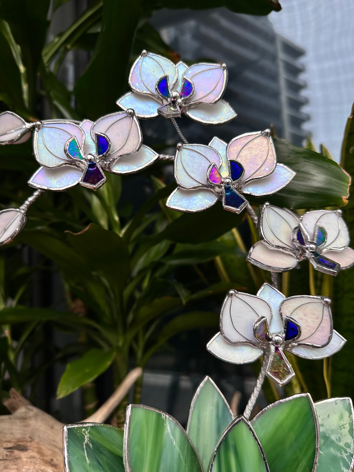 ". White Pearl iridescent Orchid 5 flowers with pot” Stained glass tropical flower 3D, Sun catcher, Table plant decor, Garden stick, Outdoor and gardening decor