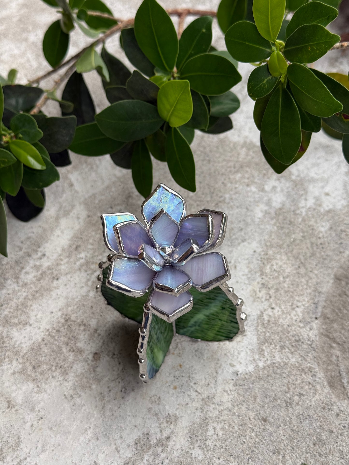 " . Cactus Lavender & Green ribbed" Stained glass Succulent 3D Cacti house plant for flower pot Sun catcher glass art wedding Christmas