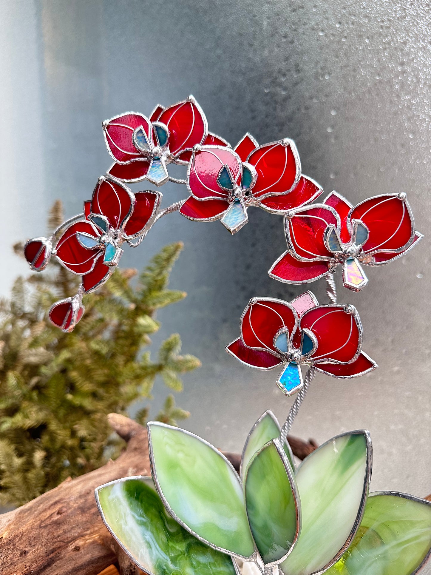 ". Stained glass Orchid Ruby Red with pot, 5 flowers,  Suncatcher  3D, plant, Wedding Christmas Gift  Outdoor and gardening decor