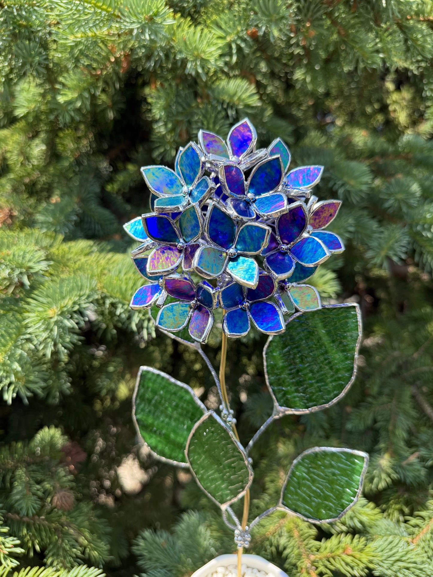 " . Beautiful Hydrangea Indigo iridescent bunch in the pot”, Stained glass tropical flower