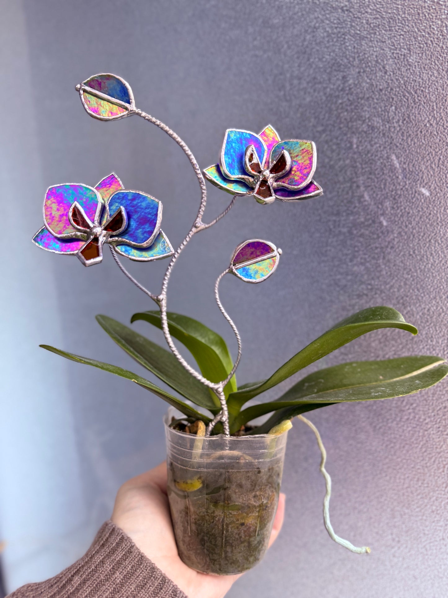 " . Indigo irid Orchid flower stick, Plant stake 2 flowers no pot” Stained glass tropical flower 3D, Sun catcher, Table plant, Garden stick, Outdoor and gardening decor