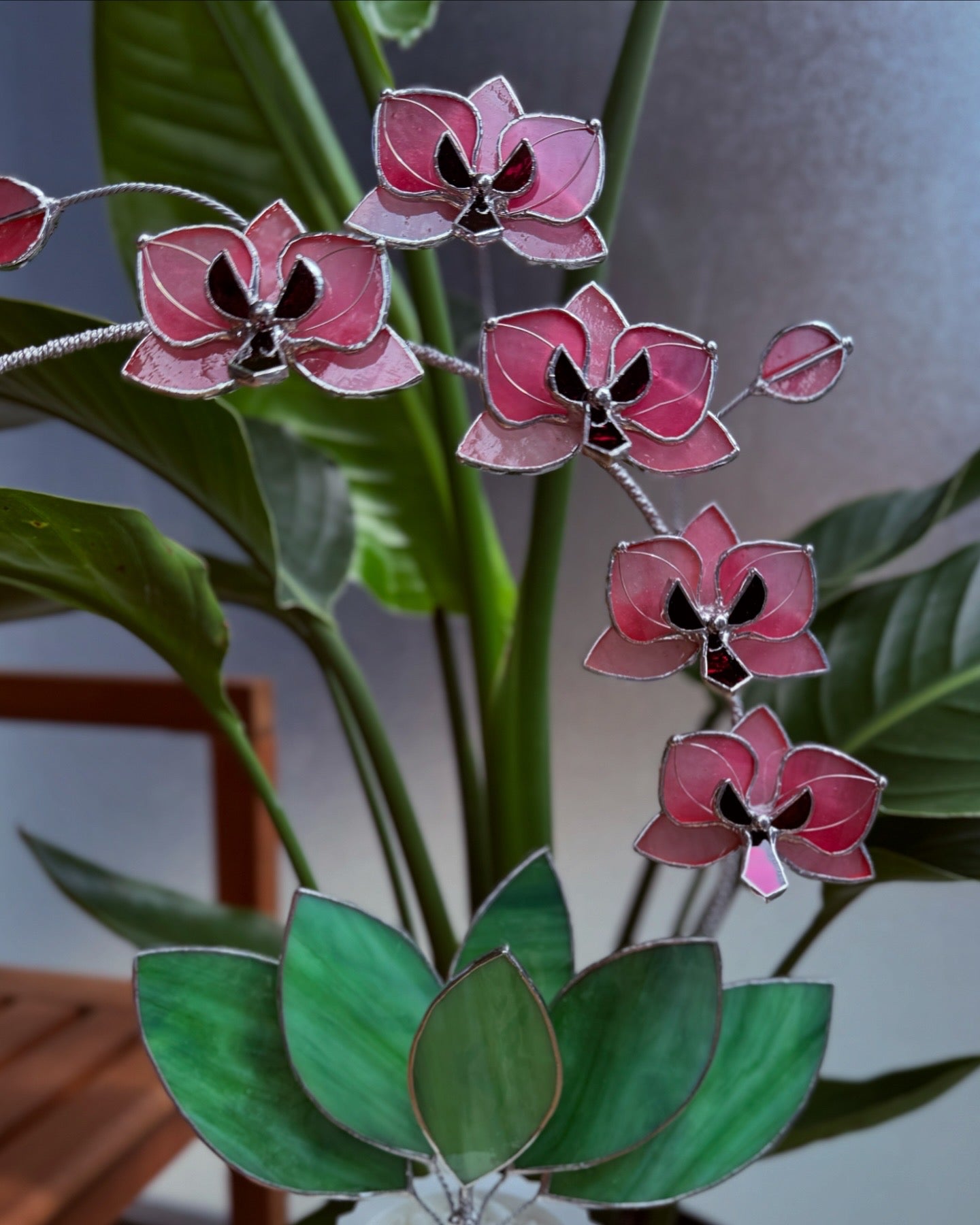 Baby Pink Orchid 5 Flowers, Handmade Stained Glass Botanical Art Decor