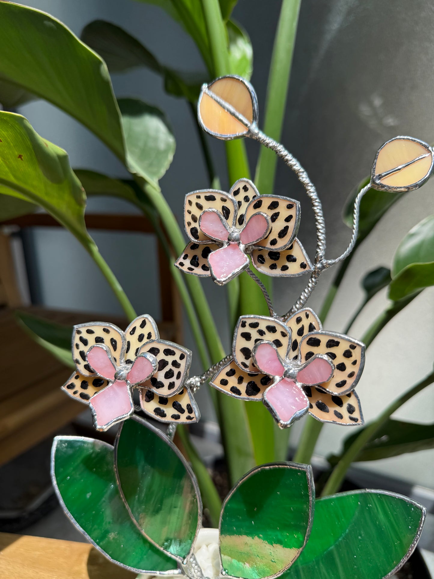 .Hand Painted Tiger Orchid in a pot, 3 flowers Botanical Stained Glass Modern Art Decor new