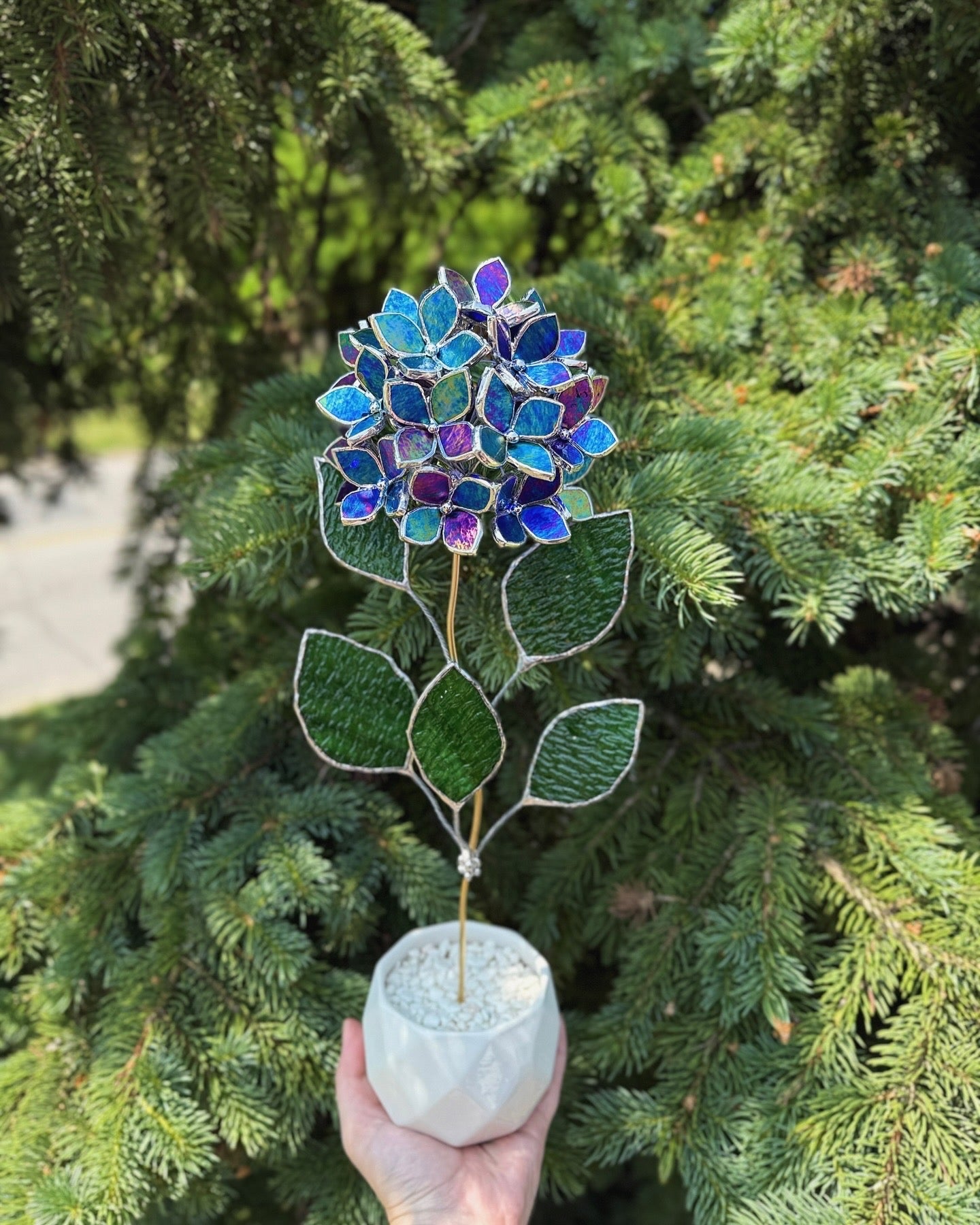 " . Beautiful Hydrangea Indigo iridescent bunch in the pot”, Stained glass tropical flower
