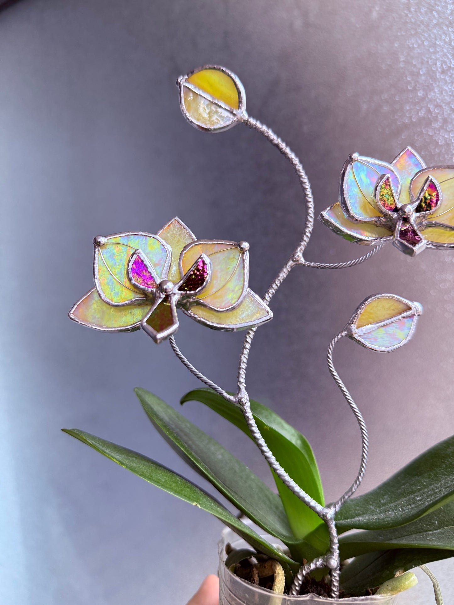 " . Lemon yellow irid Orchid flower stick, Plant stake 2 flowers no pot” Stained glass tropical flower 3D, Sun catcher, Table plant, Garden stick, Outdoor and gardening decor (Copy)
