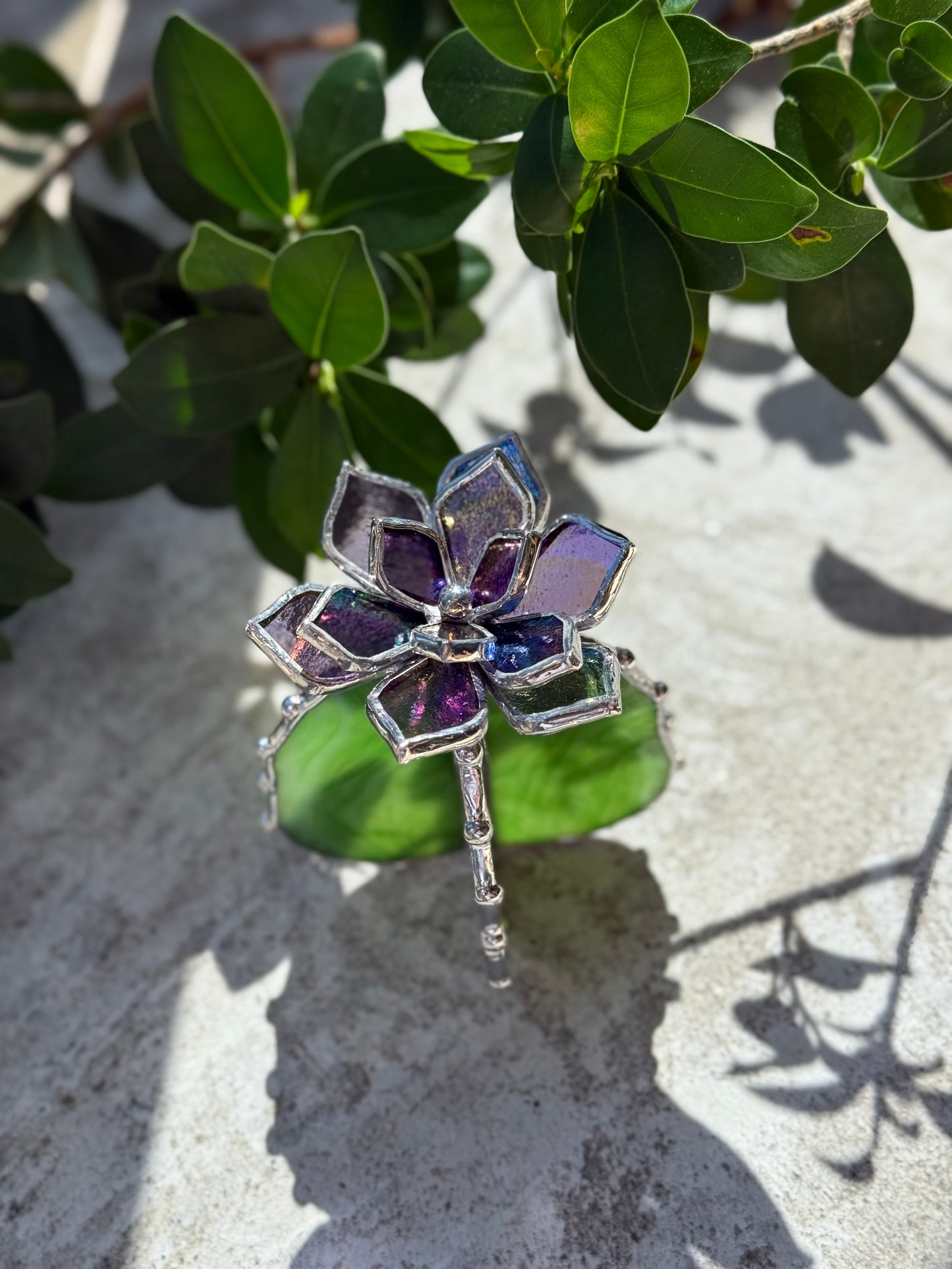 "Cactus Purple transparent irid & green irid" Stained glass Succulent 3D design, house plant for flower pot, Sun catcher