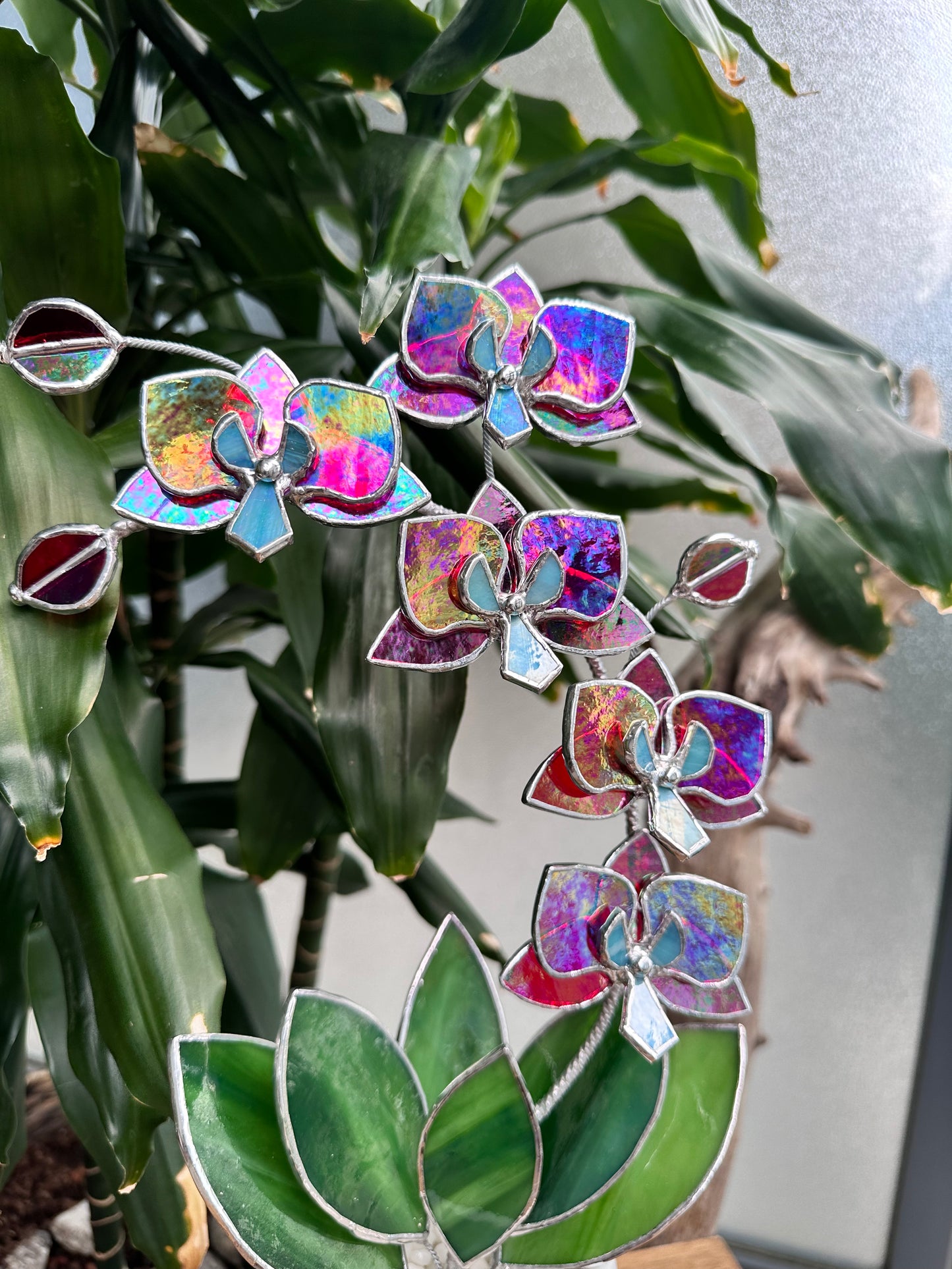 " . Red transparent iridescent Orchid 5 flowers with pot" Stained glass tropical flower 3D, Sun catcher, Table plant, Garden stick, wedding decor, Christmas gift