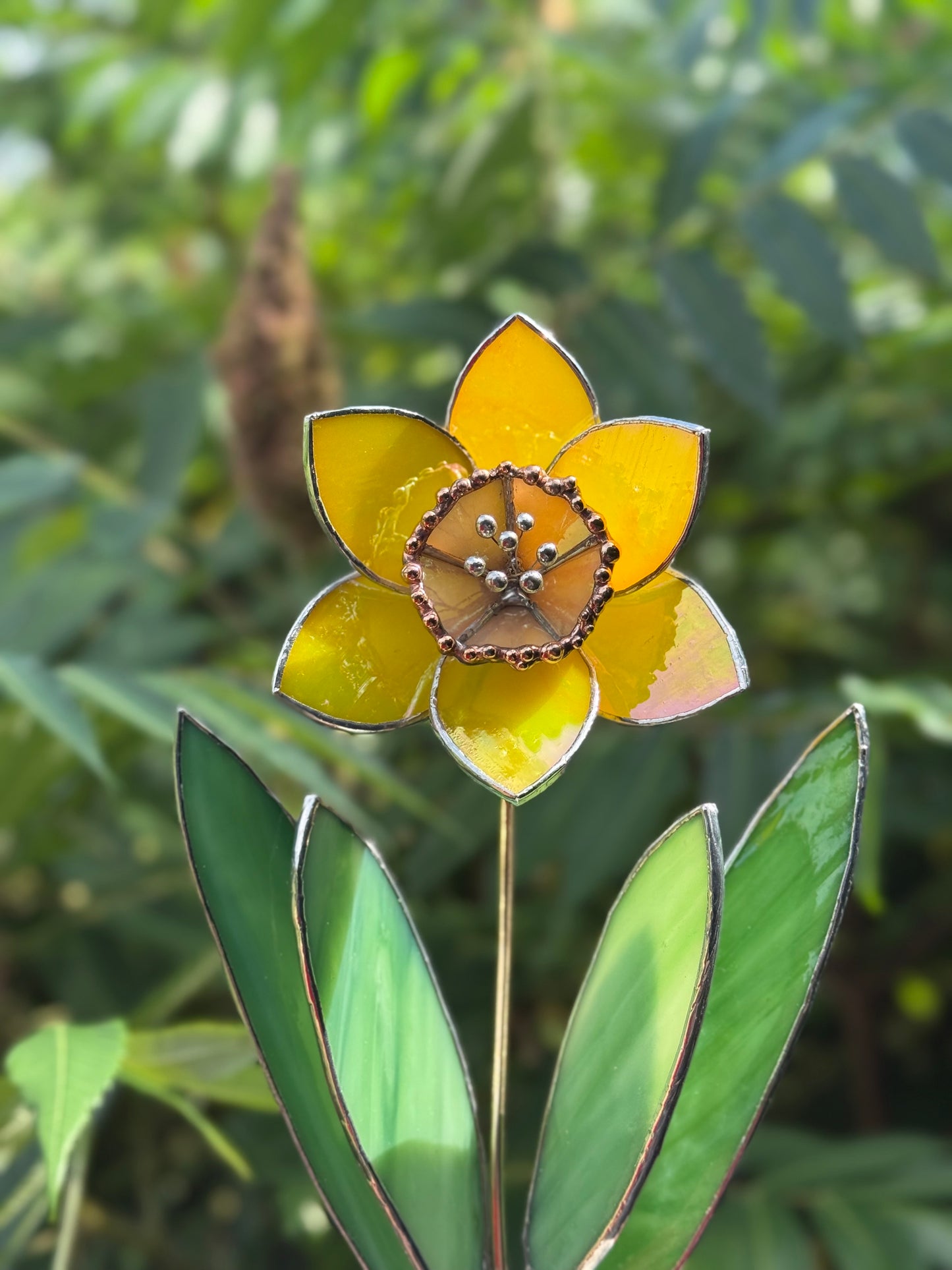 .Lemon Yellow Lumi Daffodil Flower Stained glass tropical flower new