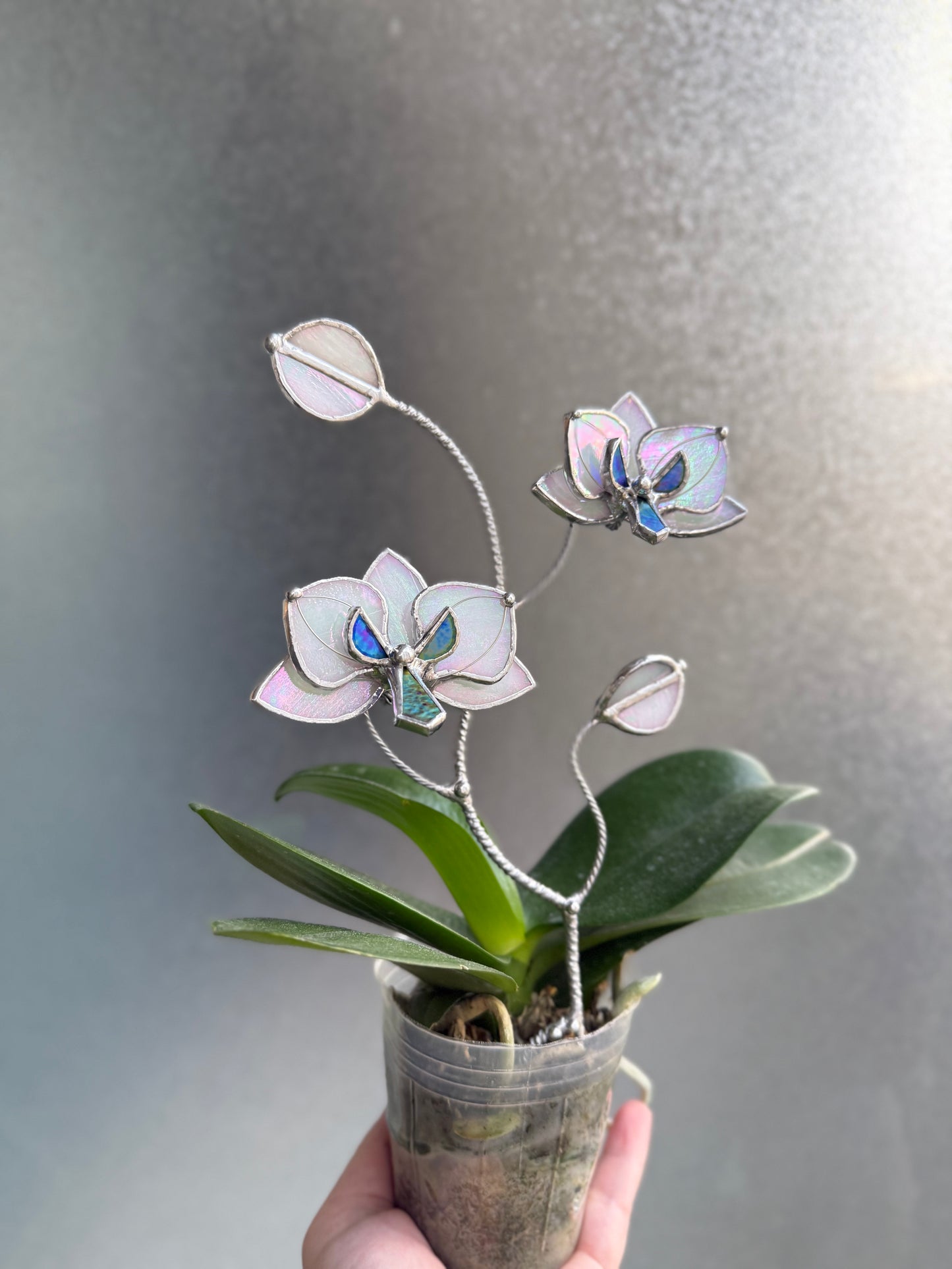 " . Orchid White pearl iridescent flower stick, Plant stake 2 flowers no pot” Stained glass tropical flower 3D, Sun catcher, Table plant, Garden stick, Outdoor and gardening decor