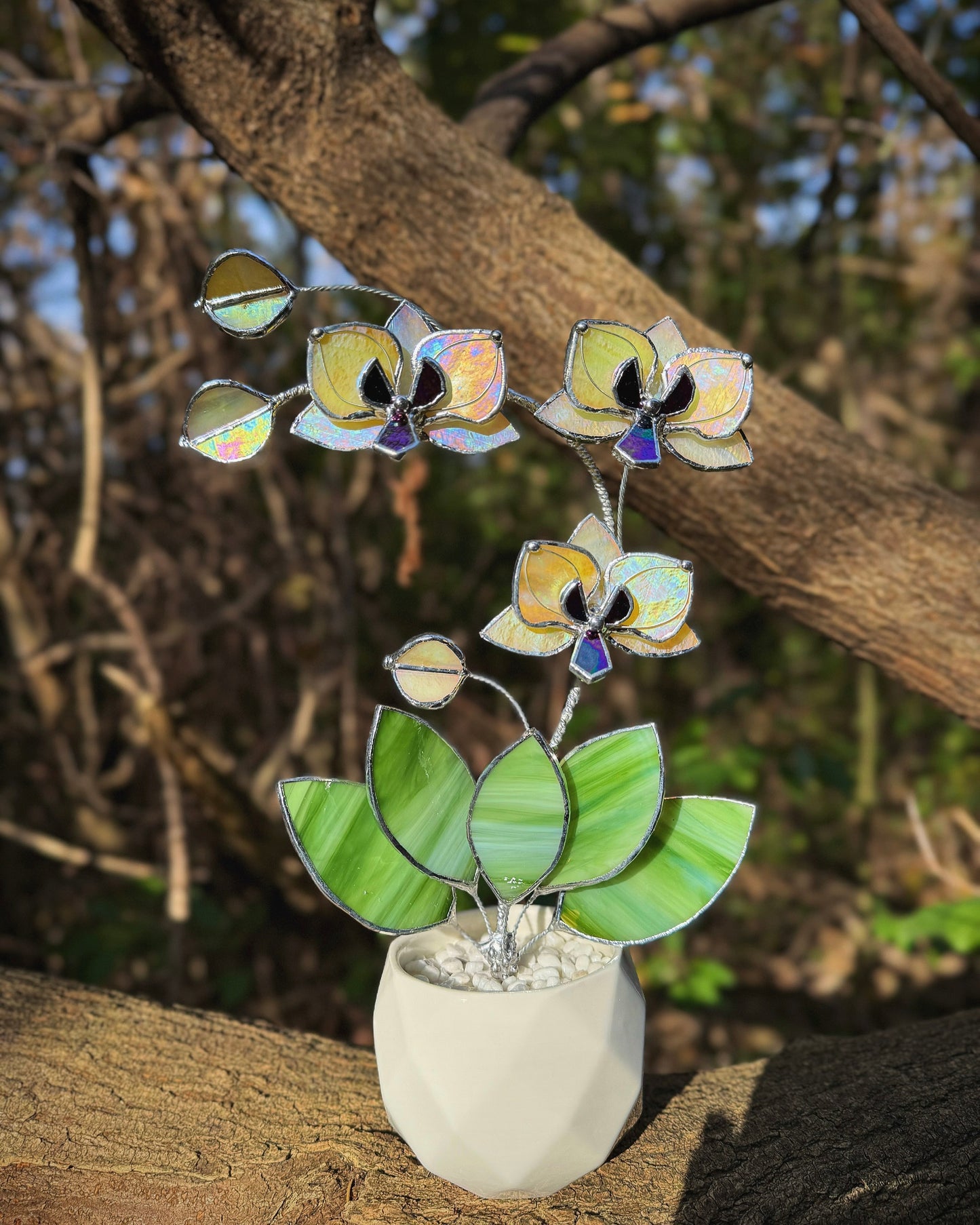 " . Lemon yellow iridescent Orchid 3 flowers with pot” Stained glass tropical flower 3D, Sun catcher, Table plant, Garden stick, Outdoor and gardening decor