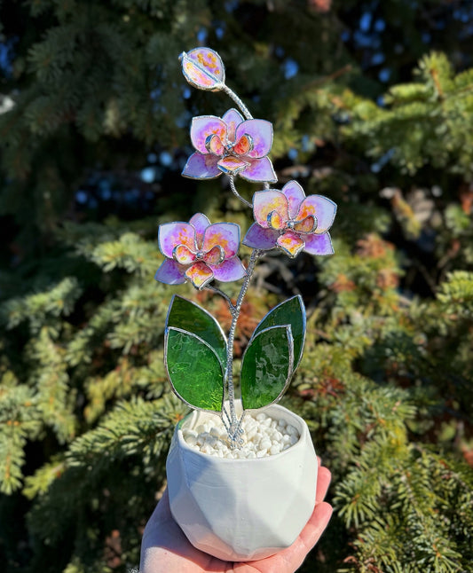 .Handpainted Orchid in a pot, 3 flowers Botanical Stained Glass Modern Art Decor