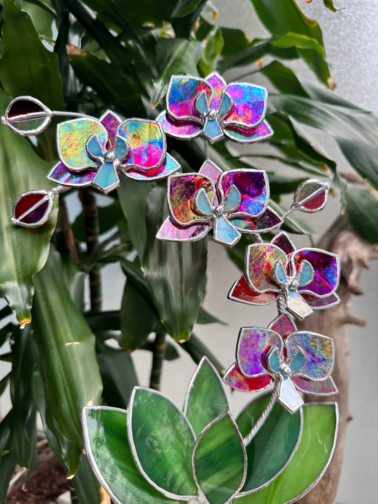 " . Red transparent iridescent Orchid 5 flowers with pot" Stained glass tropical flower 3D, Sun catcher, Table plant, Garden stick, wedding decor, Christmas gift