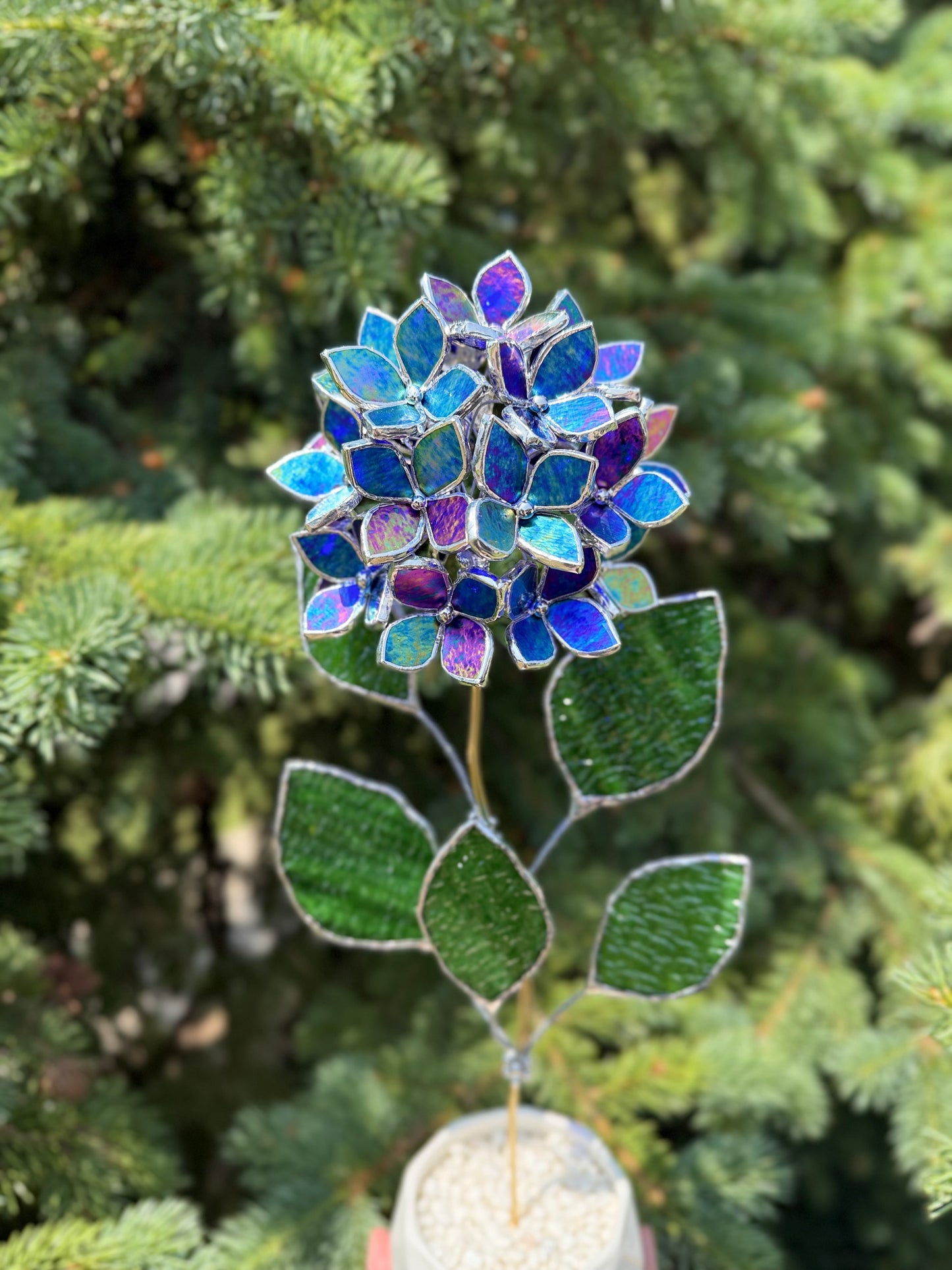 " . Beautiful Hydrangea Indigo iridescent bunch in the pot”, Stained glass tropical flower